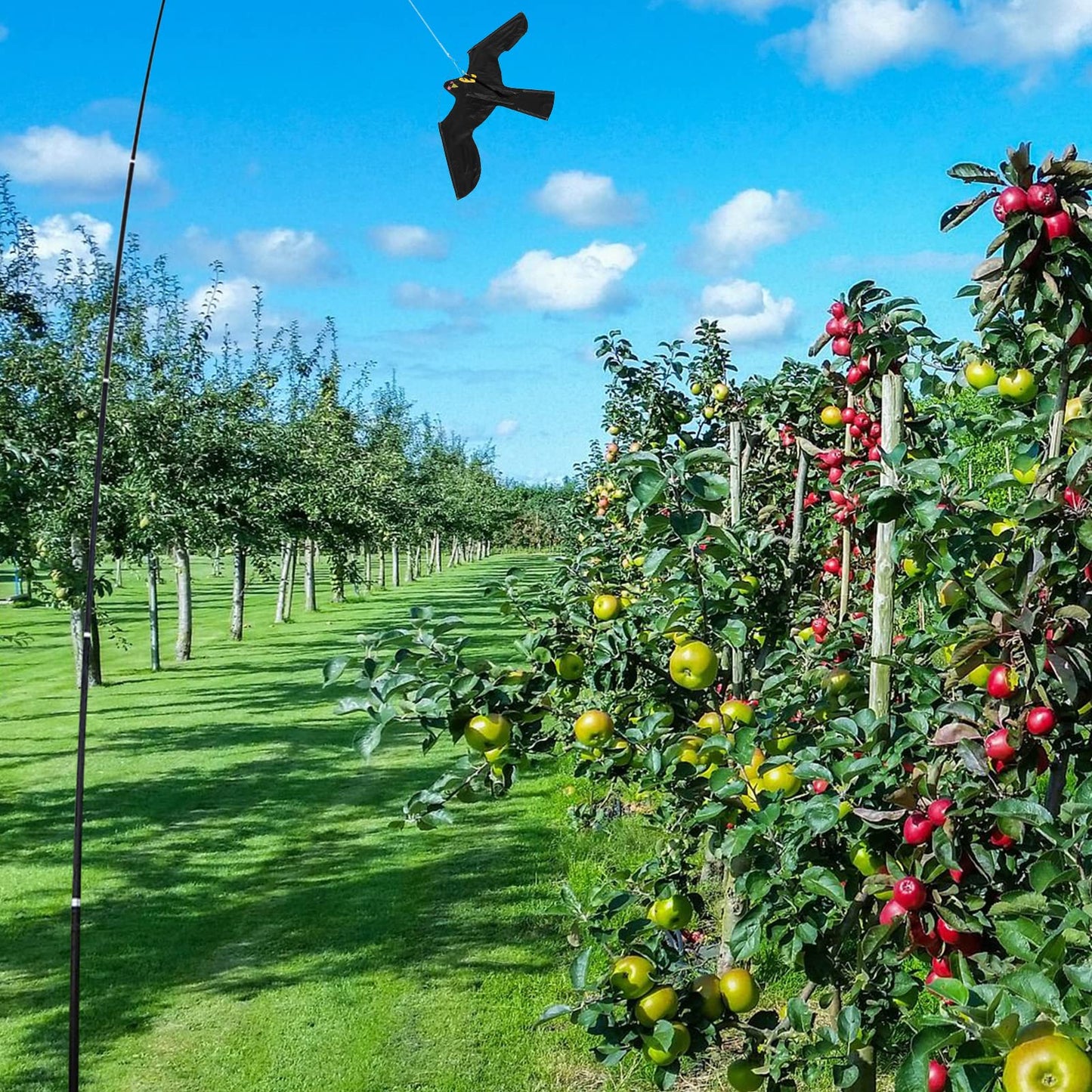 Bird Repeller, Extendable Bird Repellent Scarer Flying Eagle Kite Shape with Telescopic Pole for Home Outdoor Garden Farm (7M)