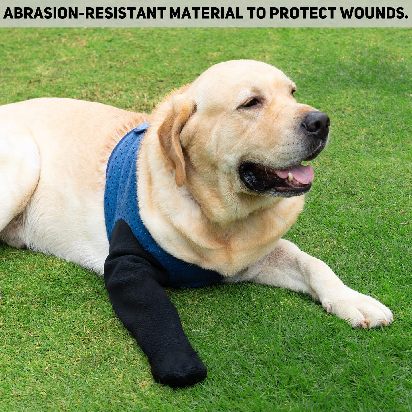 COODEO Dog Socks to Prevent Licking Paws, Healing Boots & Paw Protectors with Non-Slip Bottoms for Wound Protection, Waterproof Sleeve Shoes for Licking（Blue，L_Right