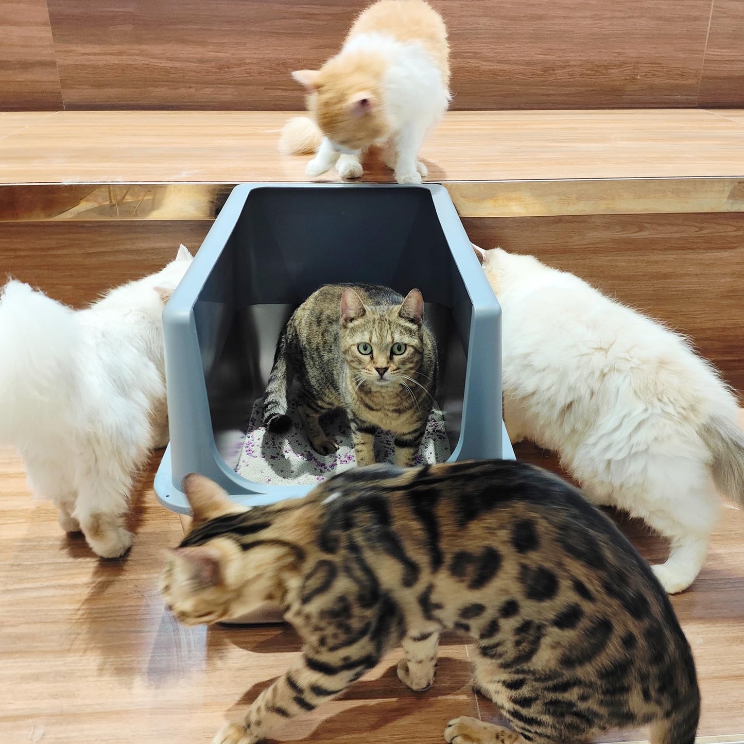 LIHOOOOM Enclosed Cat Litter Box,High Sided Stainless Steel Litter Box Anti-Leakage,Non-Stick Extra Large Litter Box with Lid,23.5" L x 15.5" W x 16" H(Grey)