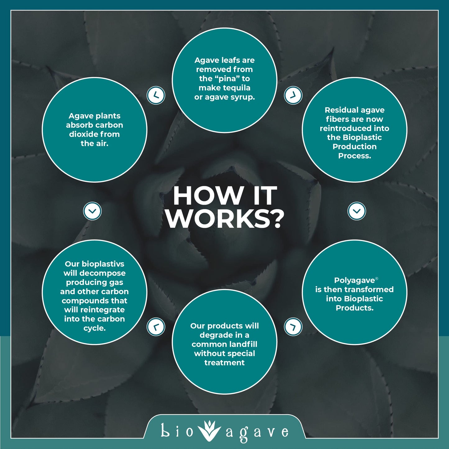 BIO AGAVE - 3600 Pack Biodegradable 5.9" Cocktail Straws Made from Agave Fibers. | Plant Based Eco Friendly Products | Drinking Straws | Reusable Straws