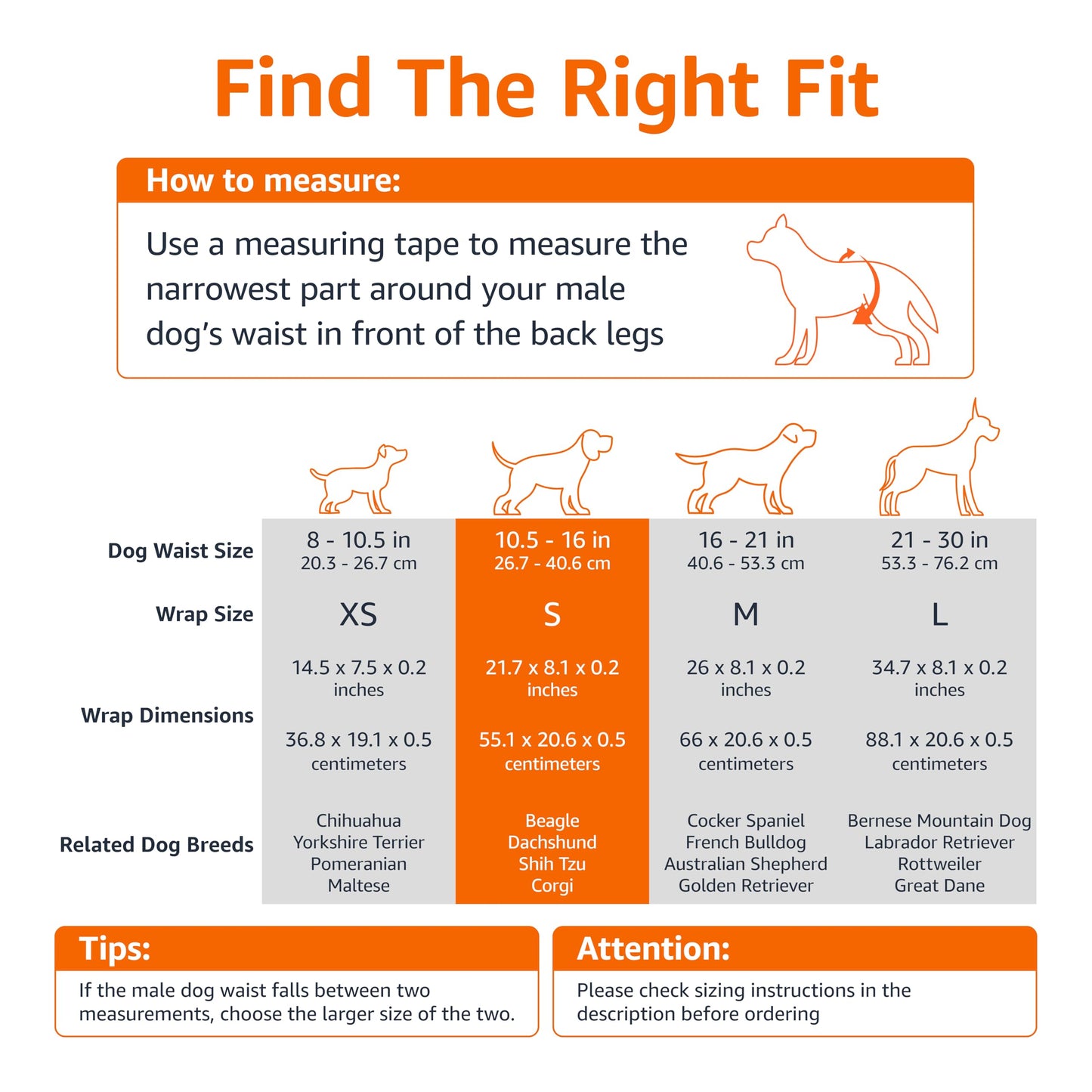 Amazon Basics Male Dog Diapers, 50 Count, Small, Ultra Absorbent Disposable Wrap with Secure Fit, Leakproof and Comfortable