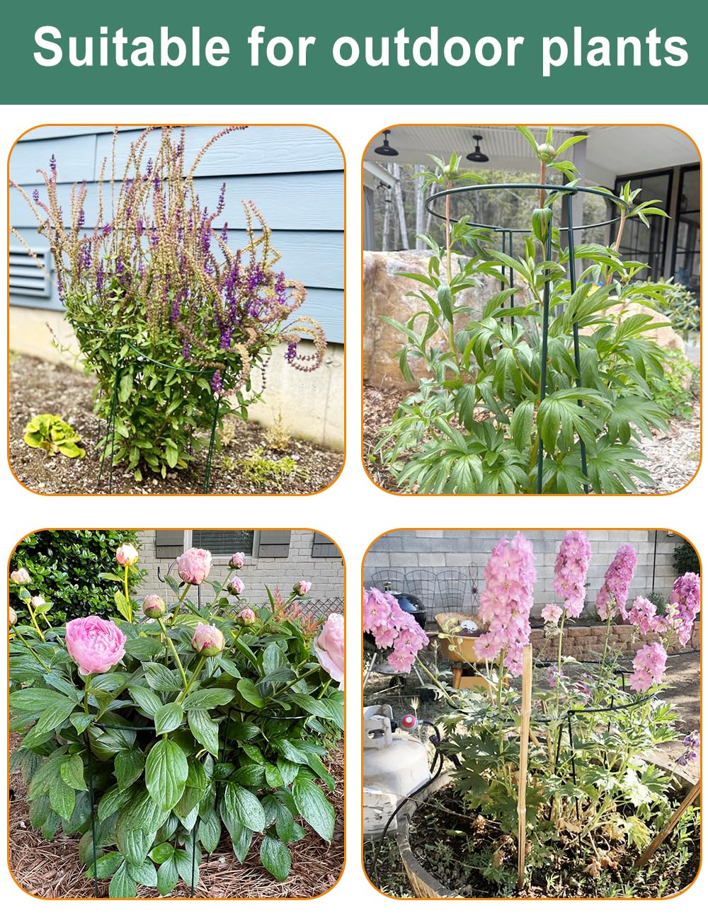 8Pack 56×25cm Plant Support Stakes With 50m Plant Ties, Metal Garden Plant Stakes, Half Round Indoor Outdoor Support Ring Cage for Peonies Monstera Hydrangeas Roses Vegetables Tomatoes Tulips Lavender
