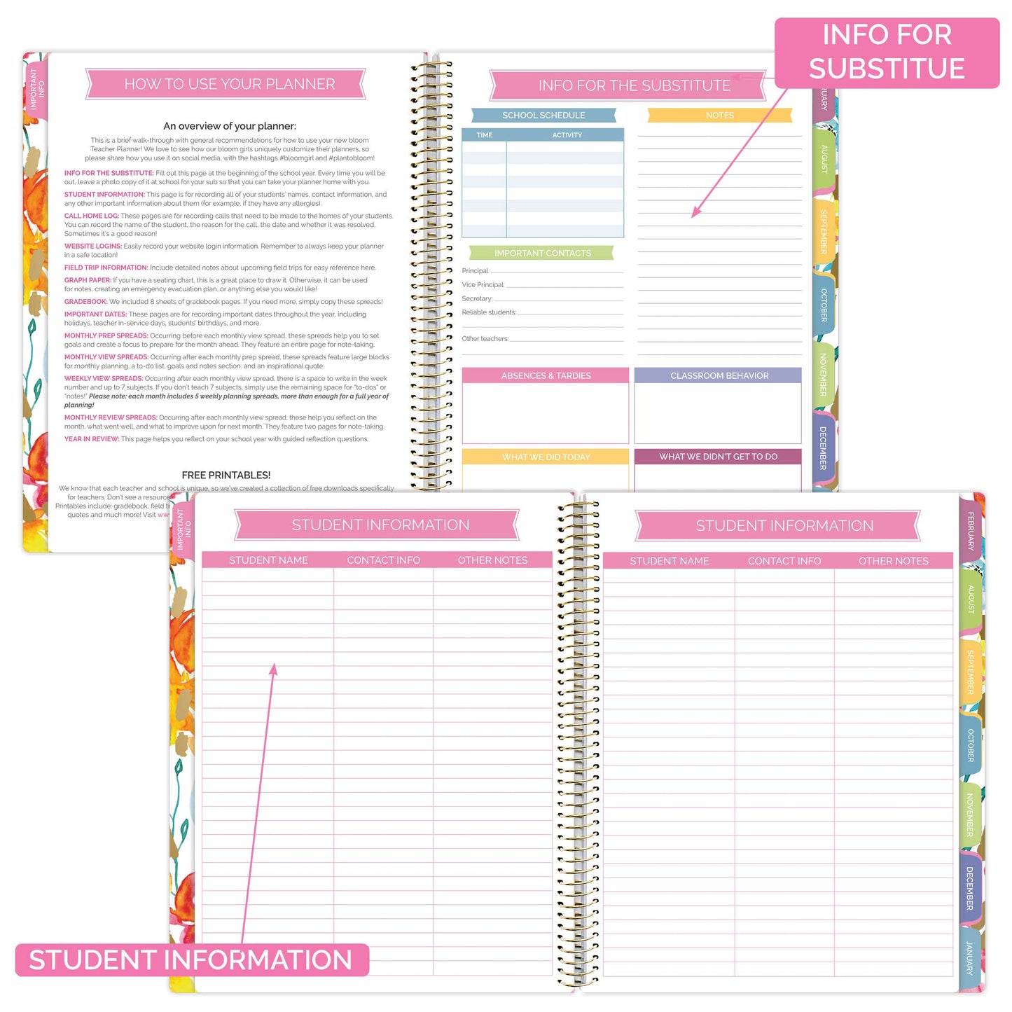 bloom daily planners Undated Academic Year Teacher Planner & Calendar - Lesson Plan Organizer Book with Frosted Cover (9" x 11") - Teacher With a Plan