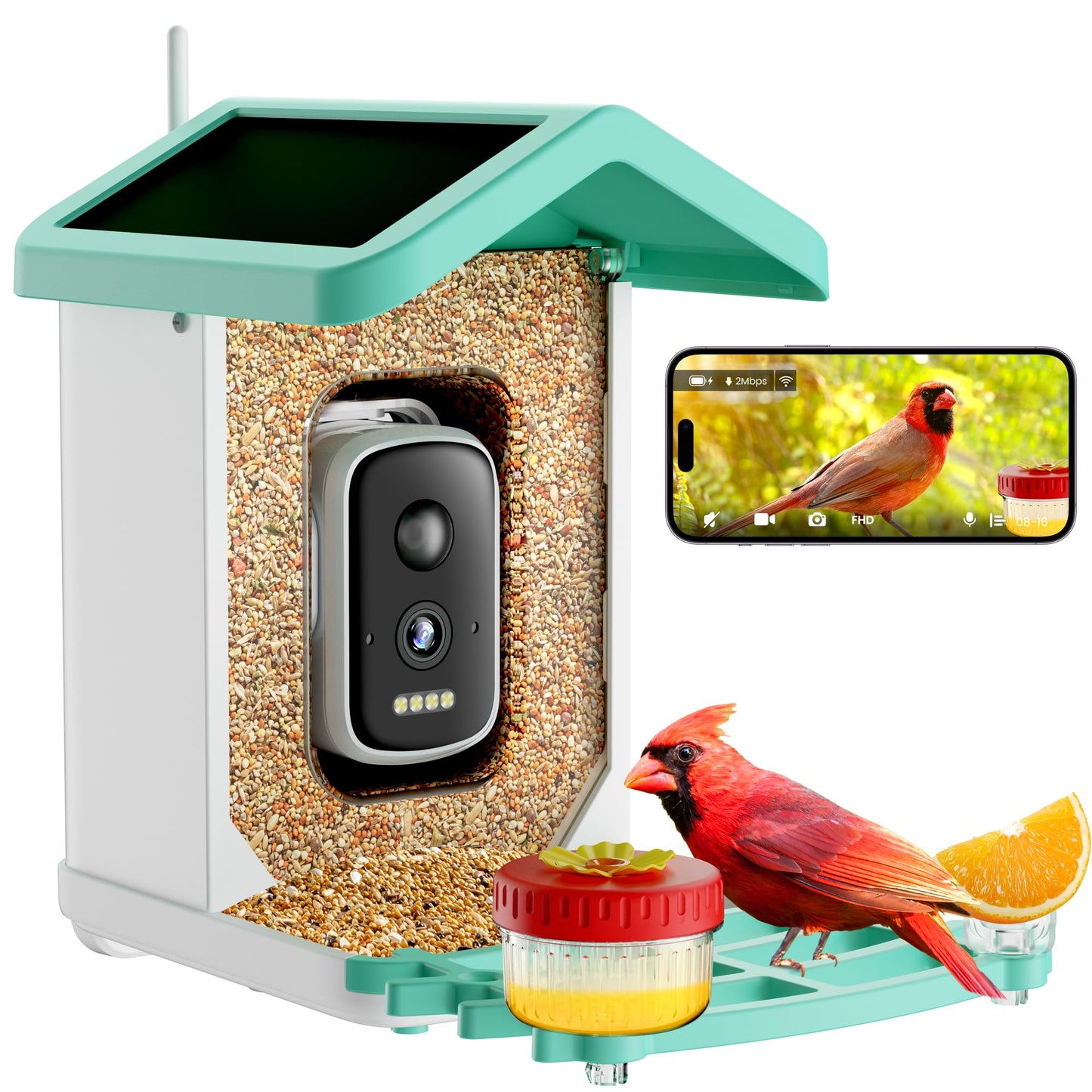 Yezloris Smart Bird Feeder with Camera, 2.5K HD AI Bird Watching Camera, Wireless Outdoor Solar Powered, Identifies 18000+ Species, Motion Detection, Night Vision, Waterproof – Gift for Bird Lovers