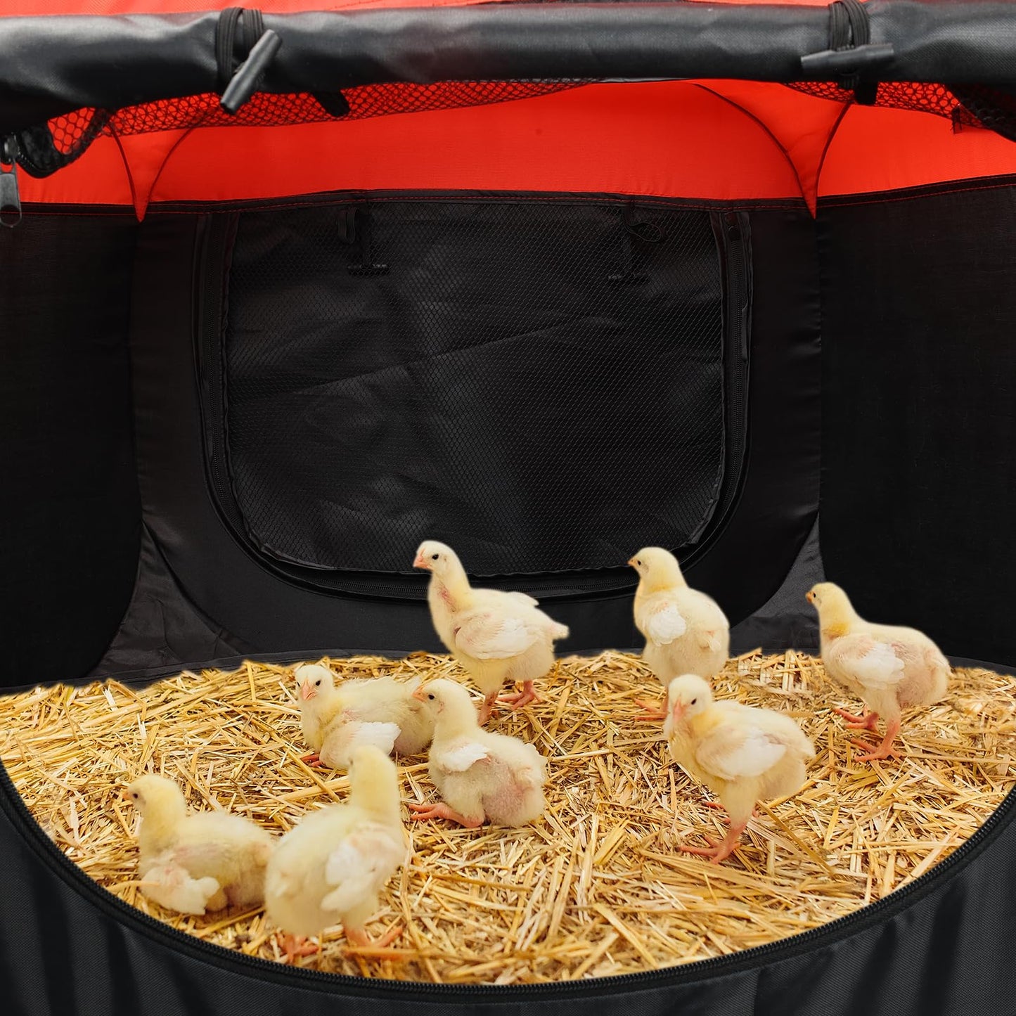 2025 Upgraded Large Brooder Box for Chick Starter Kit, Double Door Brooder Pen/Ten Brooding Up to 15 Baby Chick, Duck and Quail