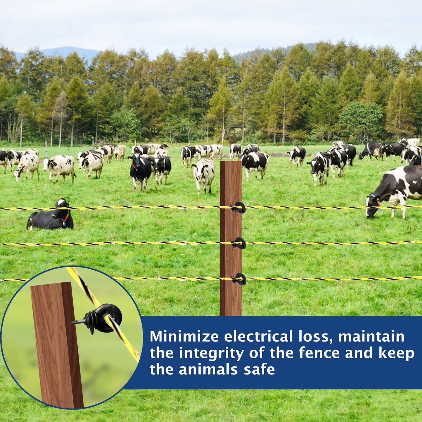 Electric Fence Polywire 660ft, with 50 Electric Fence Insulator and 1 Pcs Insulator Socket Tool, High Conductivity Weatherproof Rust Resistance 6 Steel Strands Electric Fence Wire, for Farm, Pasture