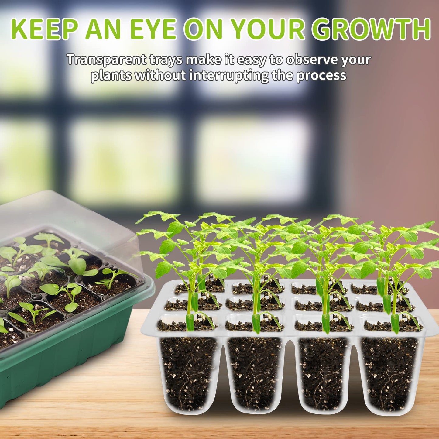 AUPETEK Seed Starter Tray with Heat Mat & 5 Pack with Humidity Domes, 60 Cell Trays Germination Station