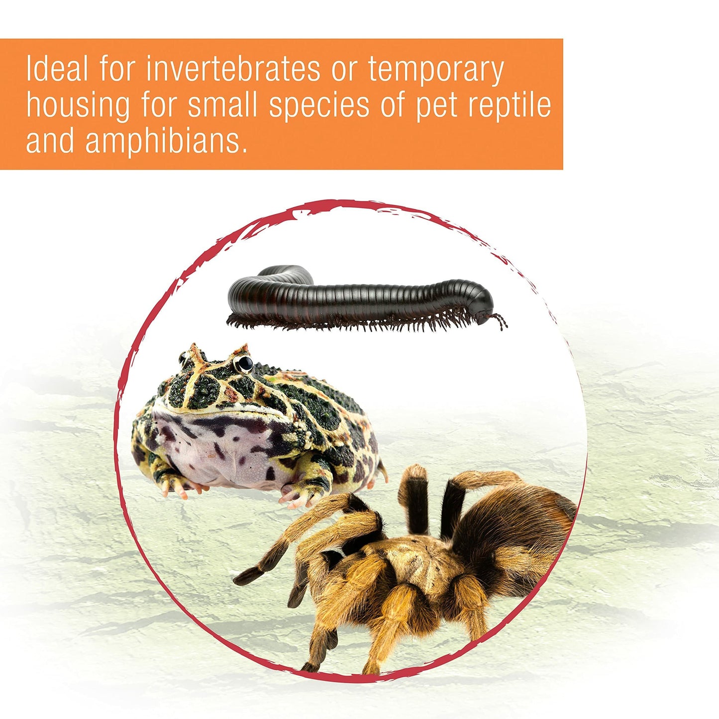 Zilla Micro Habitats Terrestrial Large
