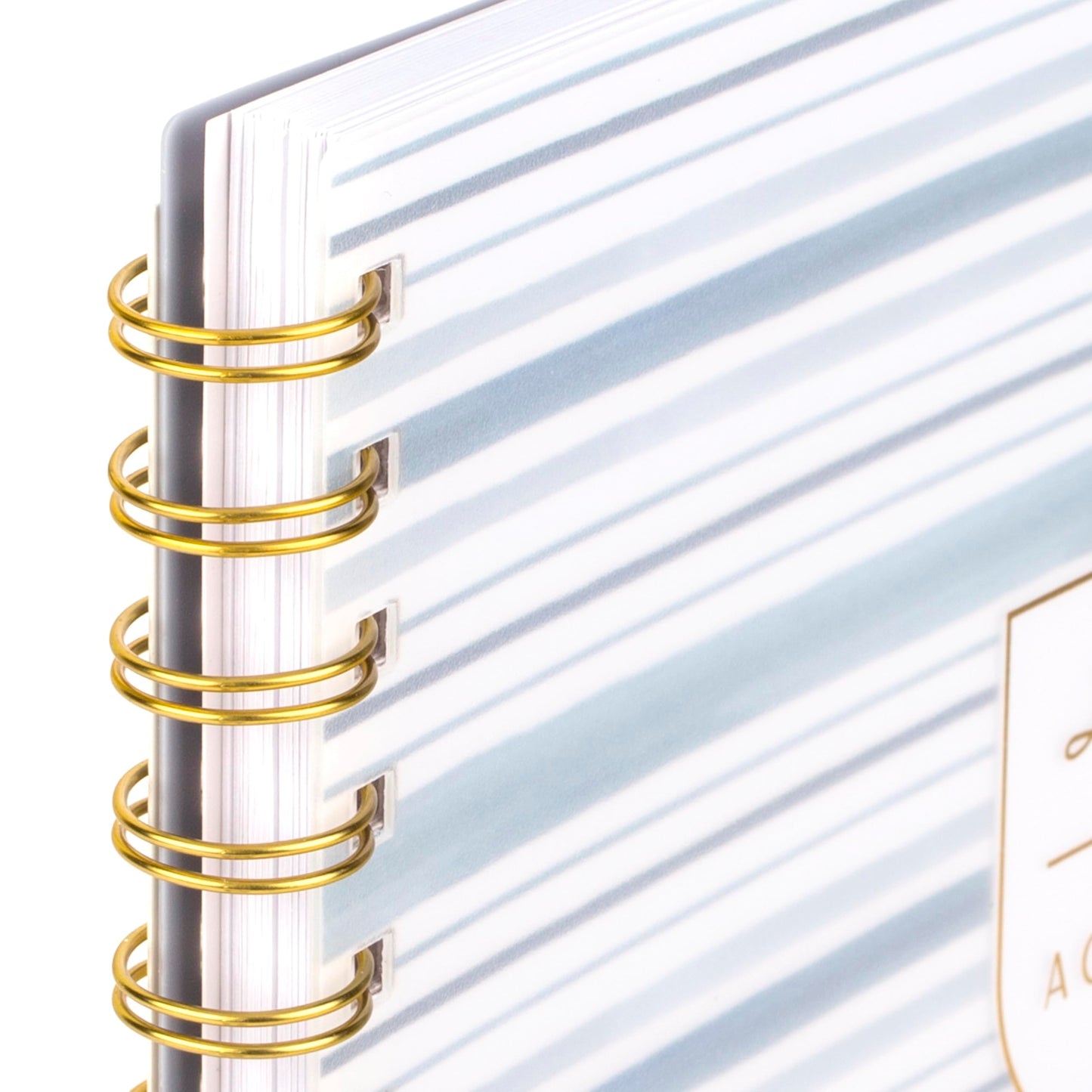 Cambridge 2026 Planner by Leah Bisch, Weekly & Monthly, 8.5" x 11", Large, Stripe (LB42-905-26)
