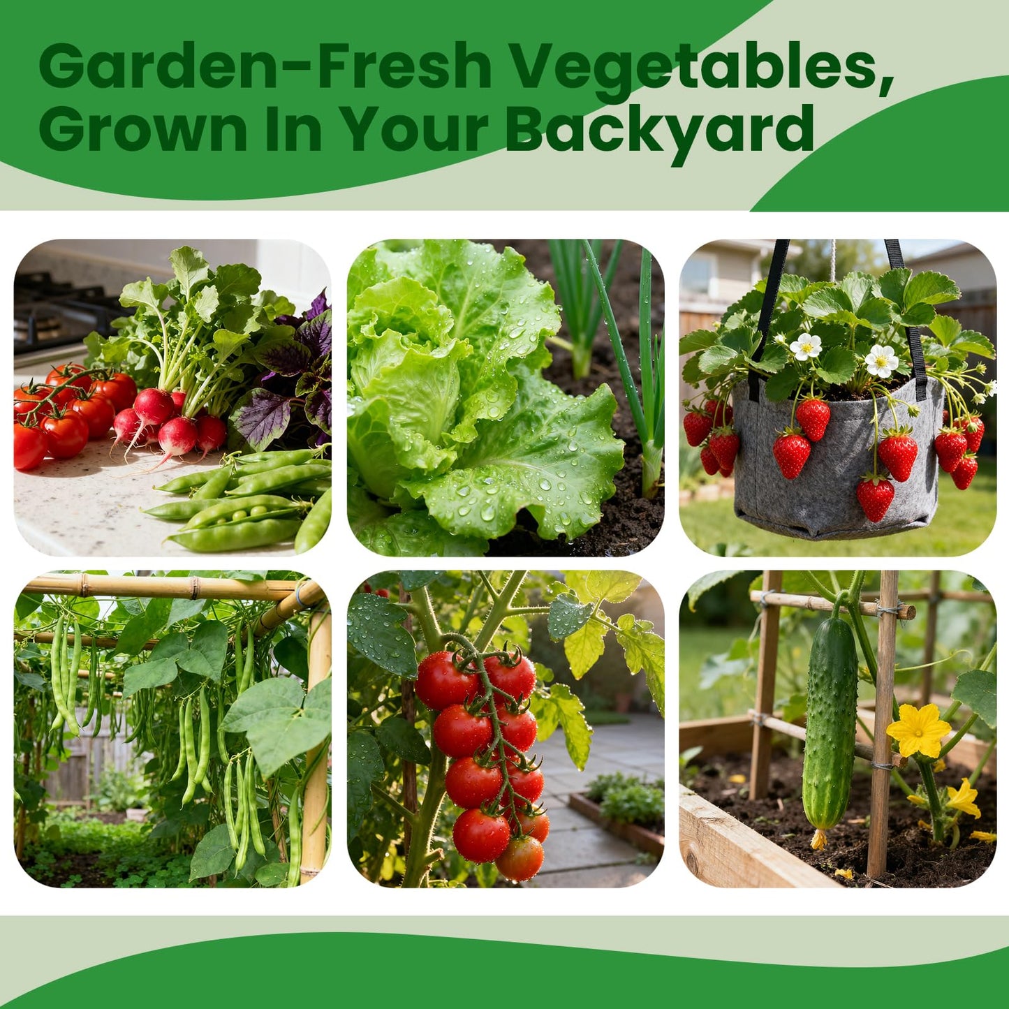 45 Vegetable Seeds Variety Pack - 17,000+ Non-GMO Heirloom for Planting Garden Seed Packets, Indoor & Outdoors Gardening -Seed Vault Kit, Friend Gift,Tomato Cabbage Spinach Cucumber Lettuce