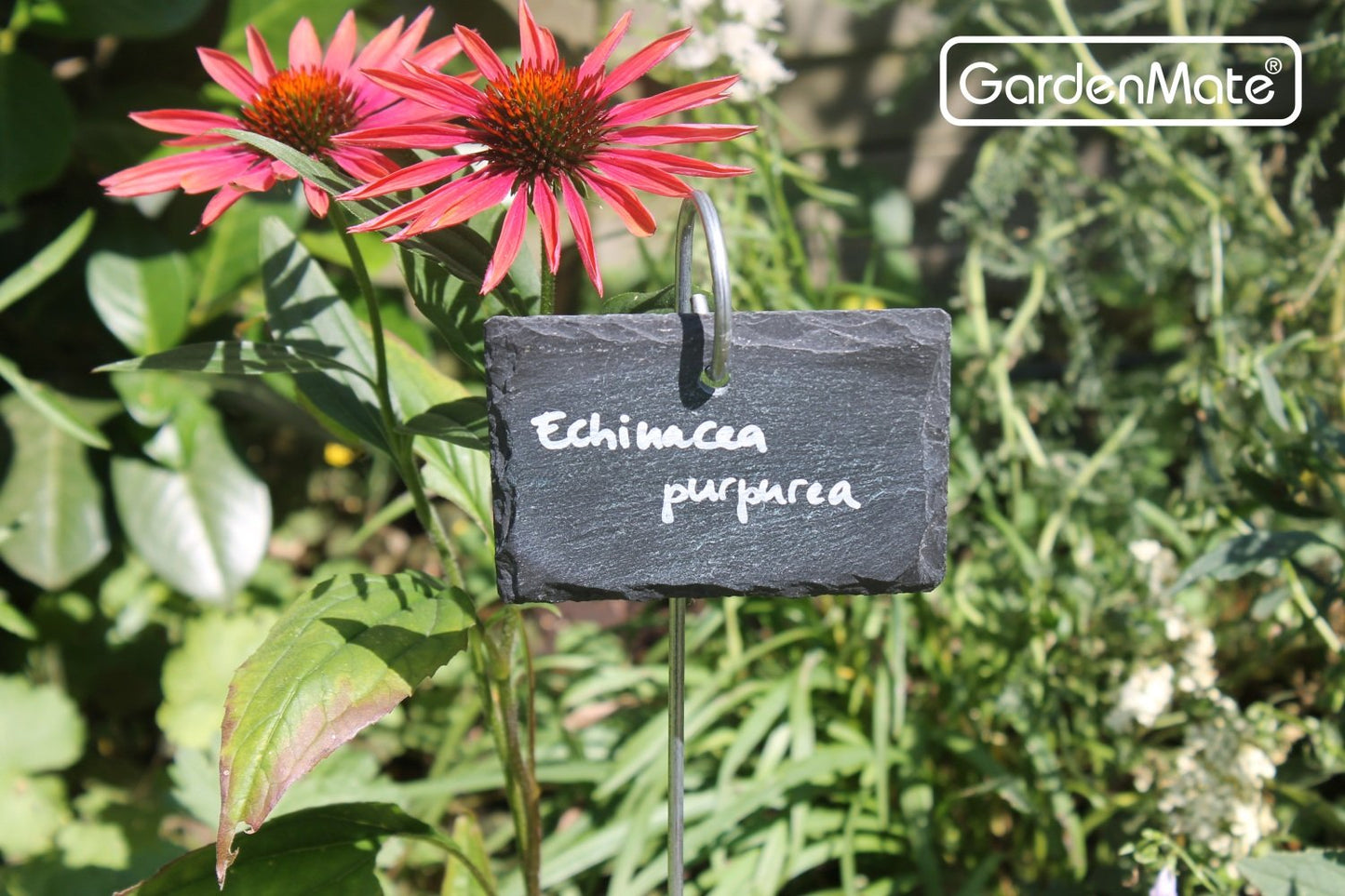 GardenMate 10-Pack 22" tall Slate Plant Labels with Metal Rod - Slate tag 4"x2 3/4" - Natural Style