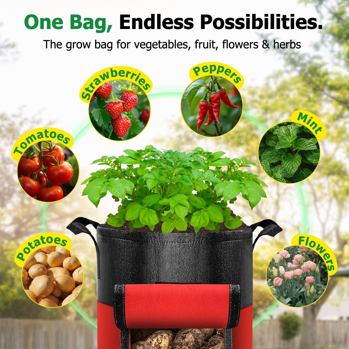 Xpatee 6 Pack Potato Grow Bags with Flap, 20 Gallon Grow Bags for Growing Potatoes, Xpatee Colorful Durable Fabric Garden Planter Pots with Harvest Window for Tomatoes Vegetables Fruit Flowers Herbs
