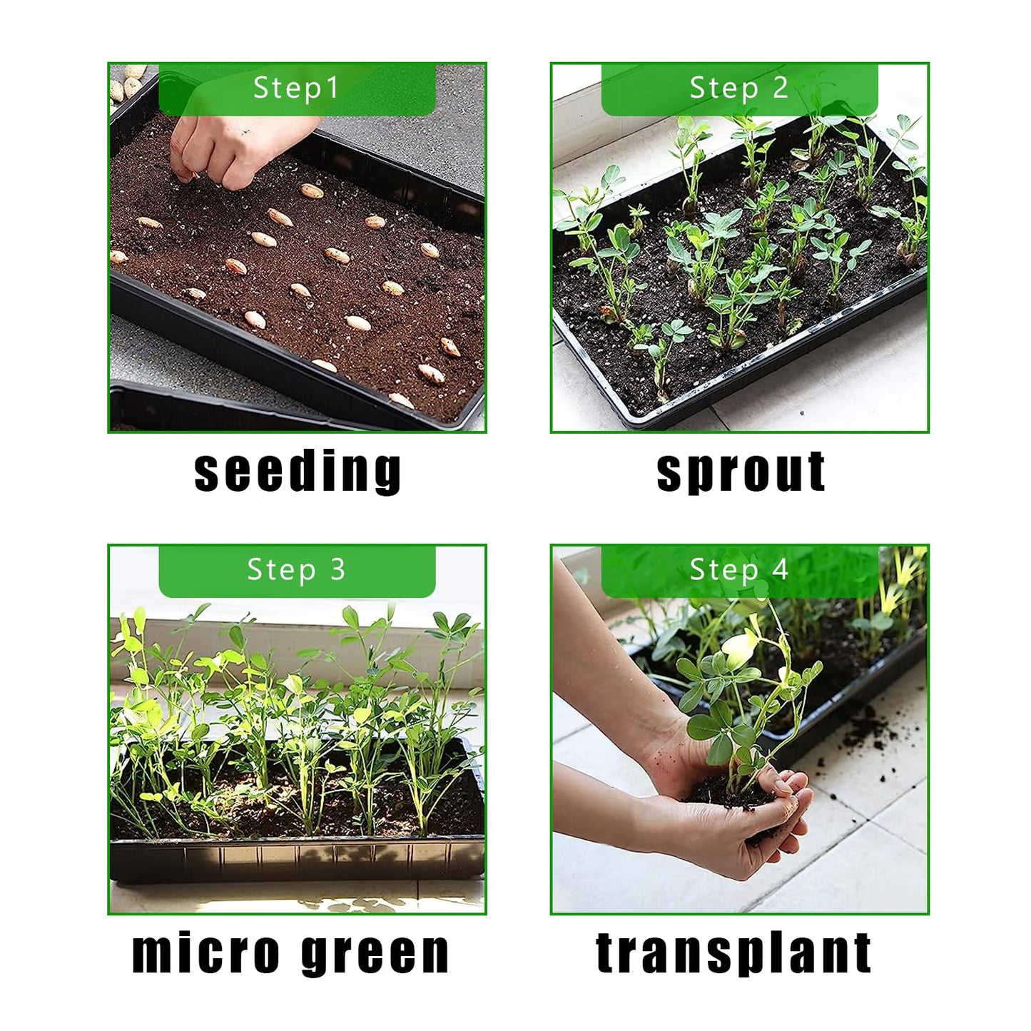 RooTrimmer 1020 Trays Sturdy Farmer Self Seedling Nursery Tray Plastic Seeds Starter Trays 10 Pieces Standard Size 2.35inch Deep Without Holes (10-Pack Without Holes)