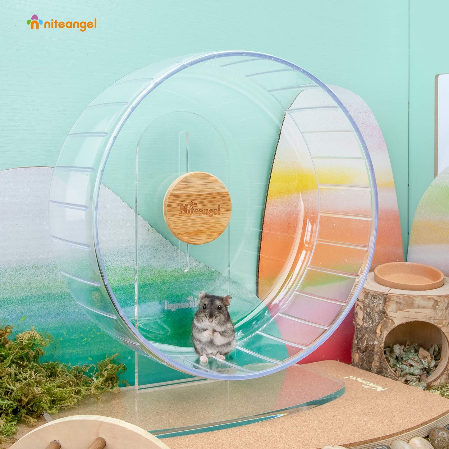 Niteangel Super-Silent Hamster Exercise Wheels - Quiet Spinner Hamster Running Wheels with Adjustable Stand for Dwarf Syrian Hamsters Gerbils Mice Or Other Small Animals (Transparent, Large)