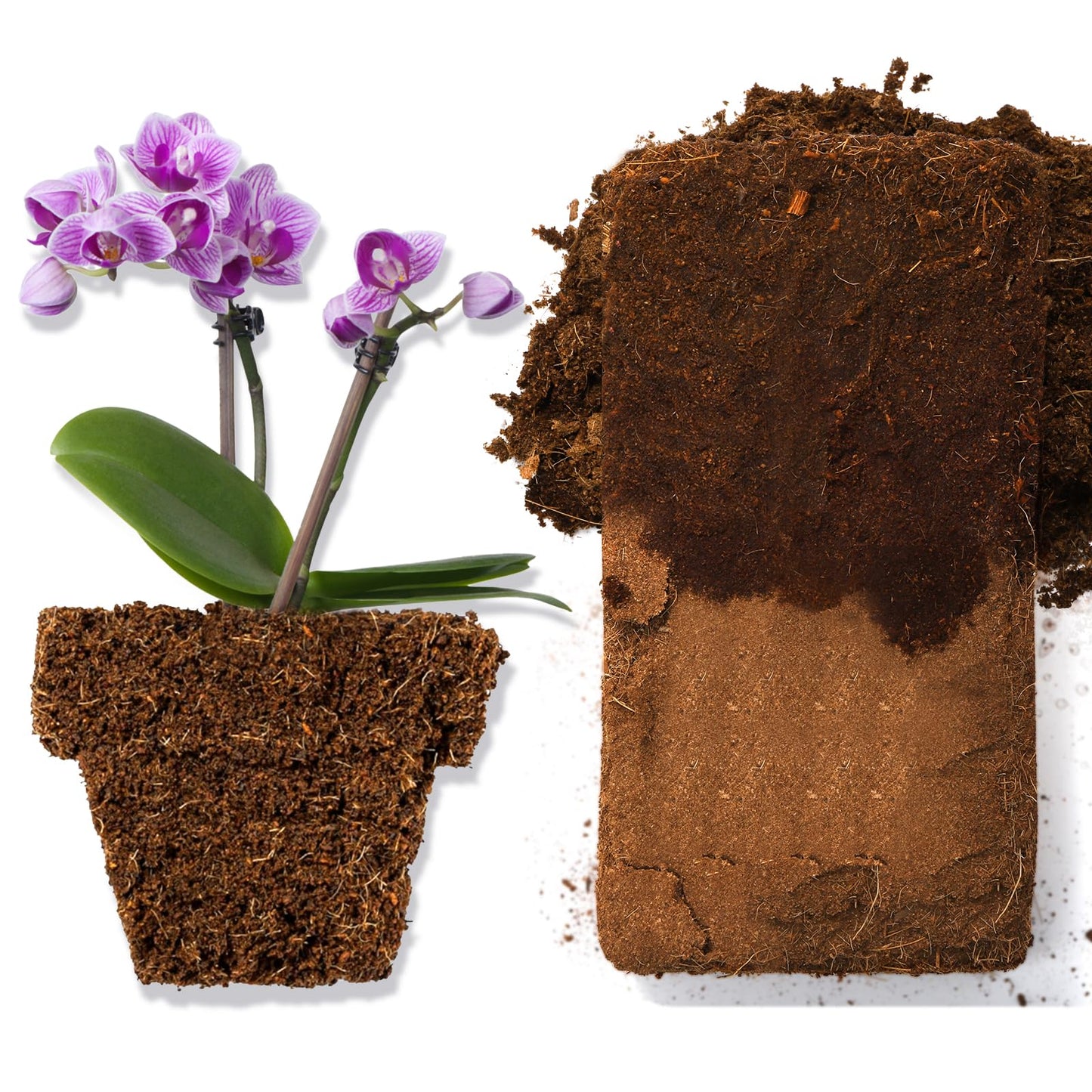 ZENFUN 12 Packs 17 lb Coco Coir Organic Brick for Plants, Natural Coconut Coir Pith, Compressed Coco Bricks, Coco Fiber for Soilless Gardening, High Nutrition Coconut Soil Coco Fiber