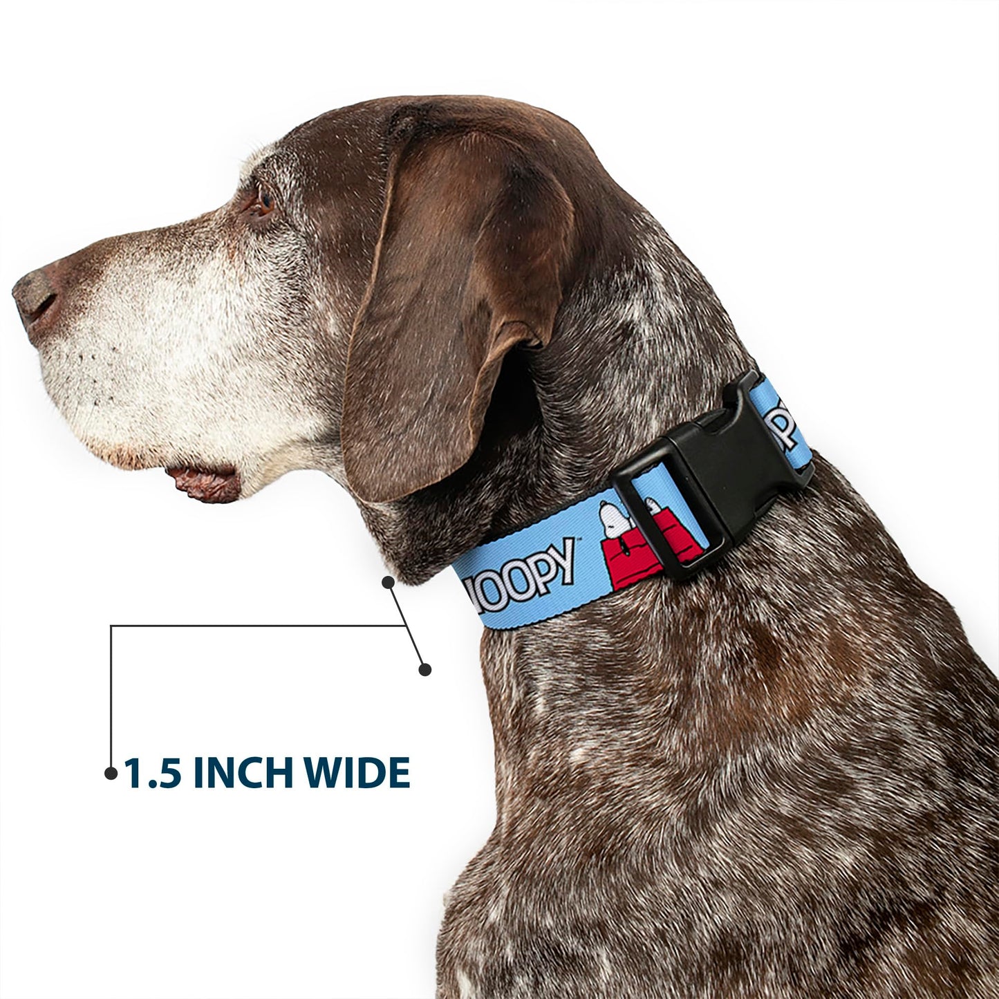 Peanuts Worldwide LLC Pet Collar, Dog Collar Plastic Buckle, Peanuts Snoopy and Woodstock Dog House Pose and Text Sky Blue, 11 to 16.5 Inches 1.0 Inch Wide