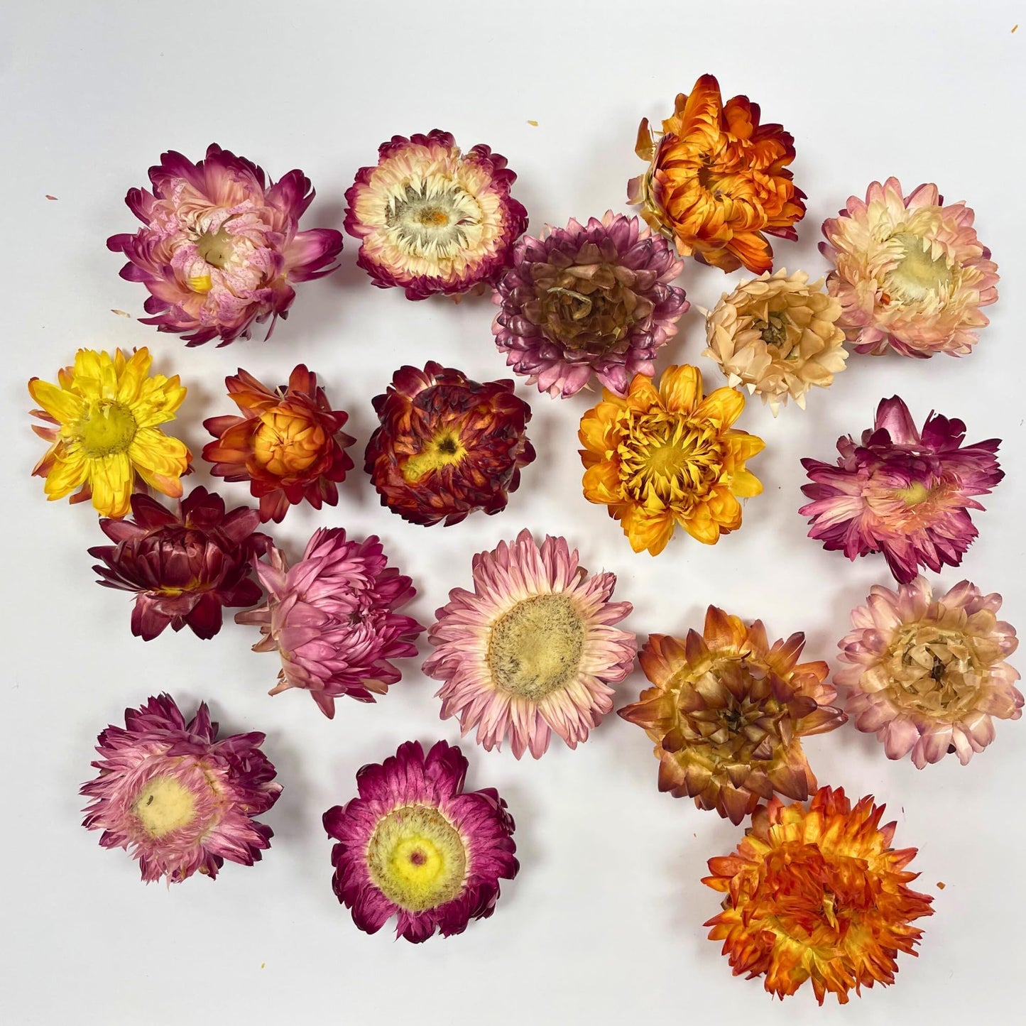 Edible Dried Mixed Flowers | 100% Natural & Edible | 50+ Flowers | Flowers for Garnishing Cocktails, Cake Decoration, Tea Infusions | 50G,1.76 Oz| Chrysanthemum Flowers | PETJar | Drink Botanicals