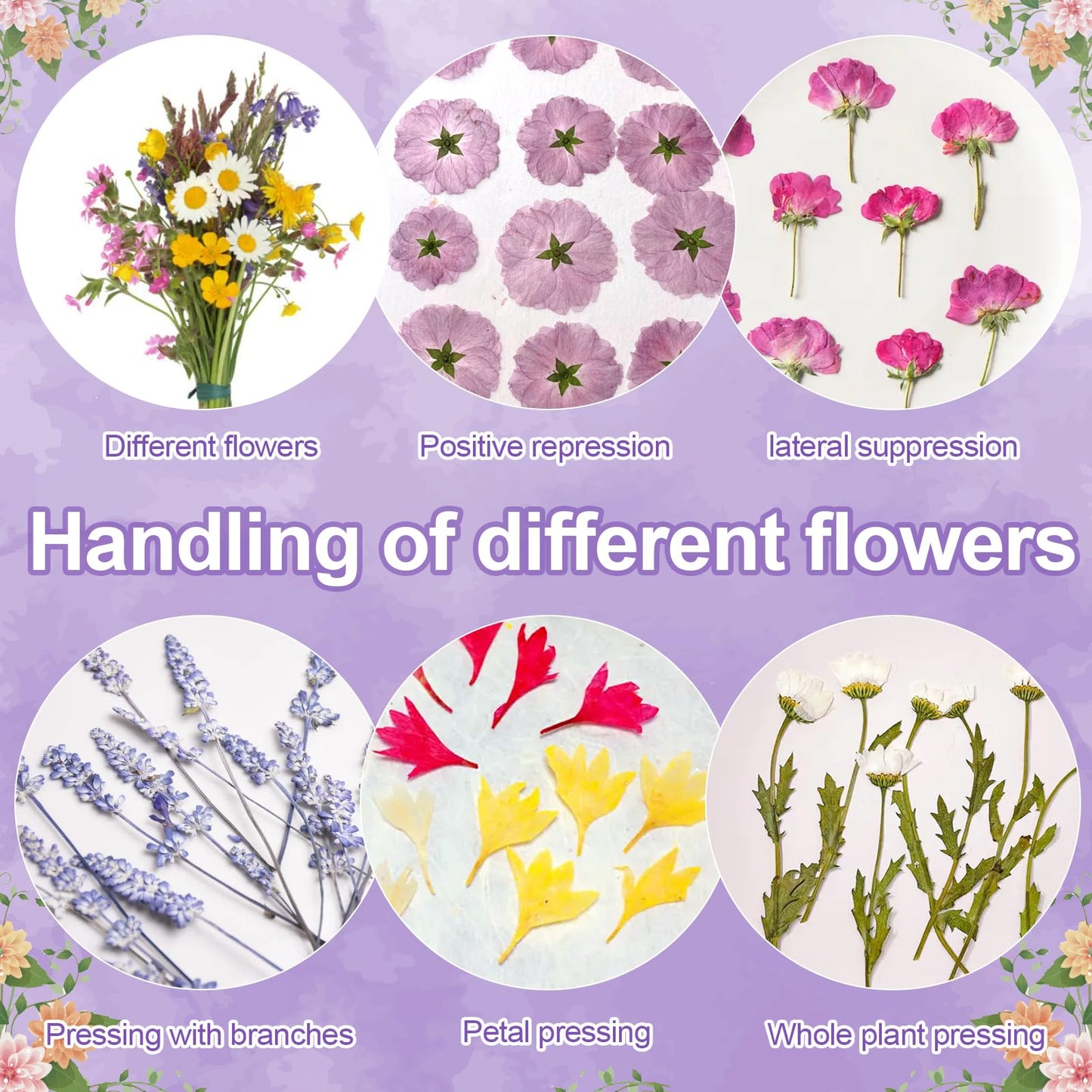 Suziko Large Flower Press Kit for Adults& Kids Flower &Plant Preservation Kit Measures 10.8" x 6.9" Suziko Leaves Press & Flower Press is a Great Gift for Lovers