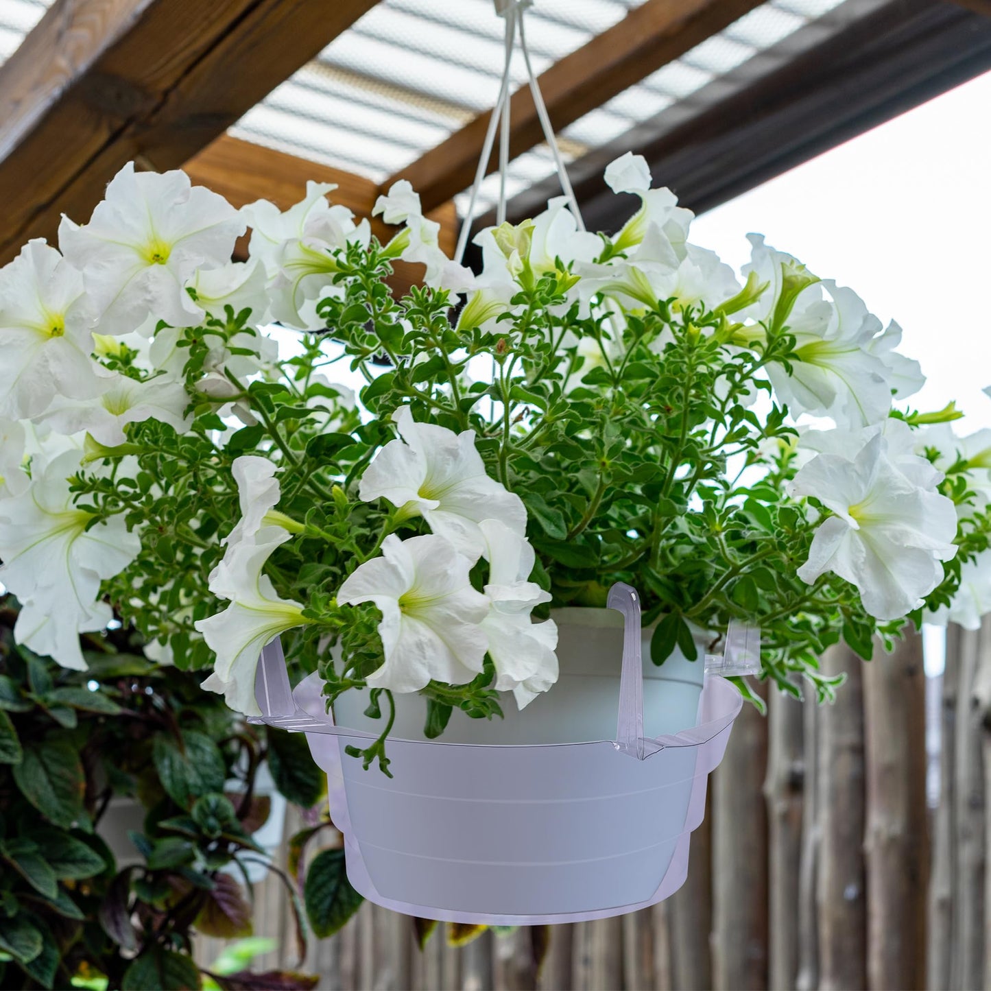 Adnee 12 Pcs 12 Inch Hanging Plant Water Catcher-Clear Plastics Plant Water Catcher Tray-Hanging Plant Saucers Drip Pans for Indoor Outdoor Hanging Basket Flower Pot