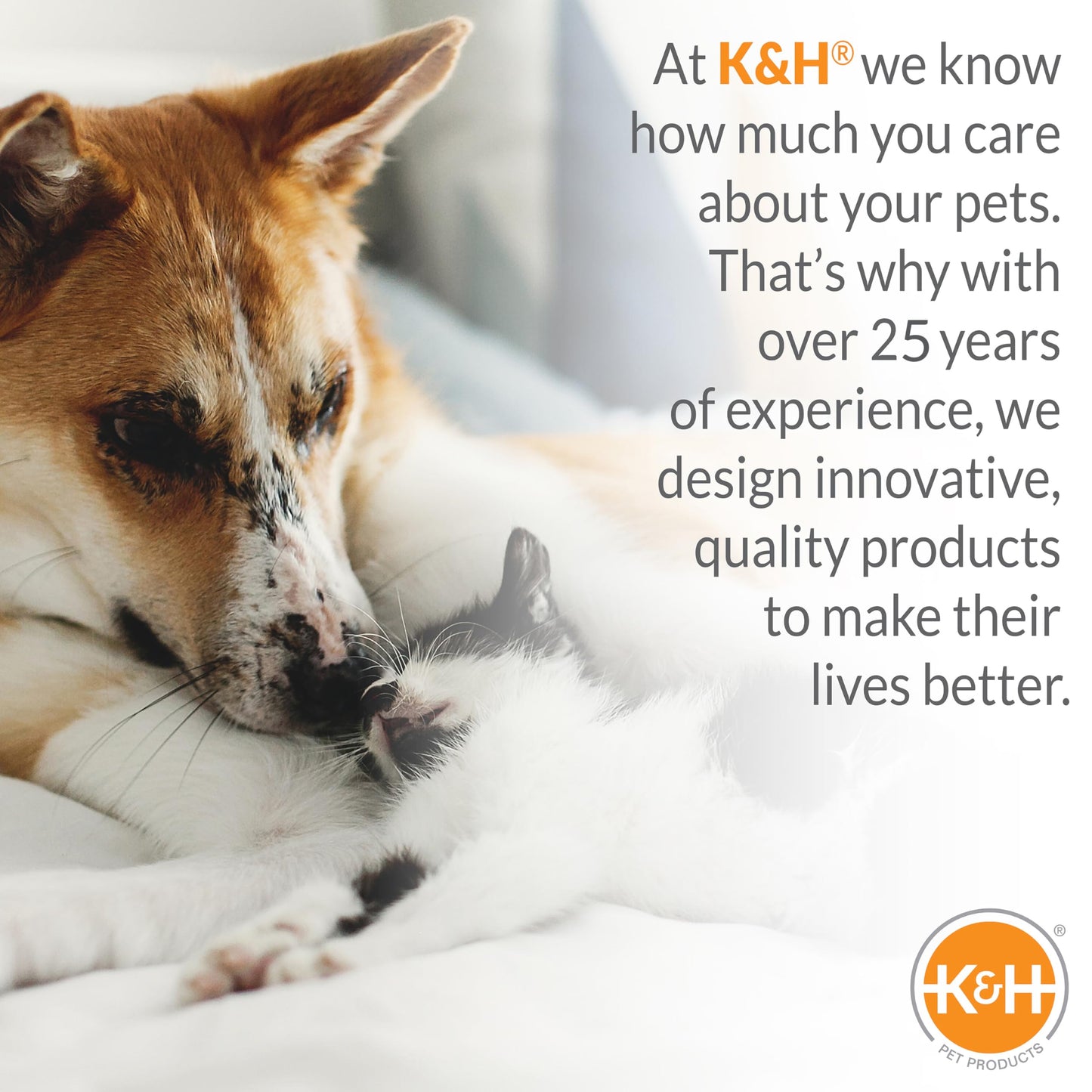 K&H Pet Products Outdoor Elevated Dog Cot, Breathable Cooling Elevated Cot Hammock Pet Bed for XL Dogs, Washable Mesh Cover, Raised Metal Frame, Collapsible, Portable - Extra-Large 50 X 32 Chocolate