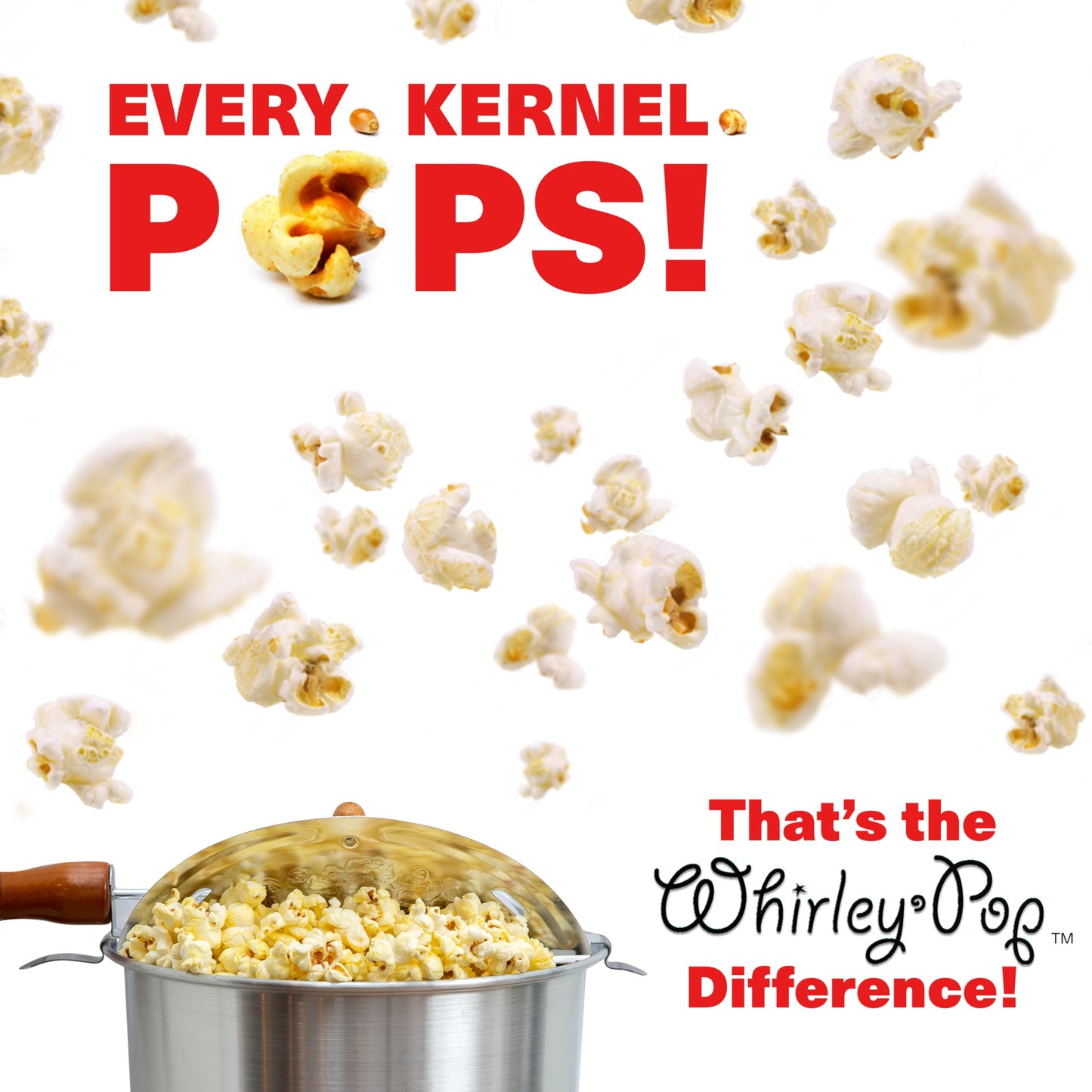 Wabash Valley Farms 25008 Whirley-Pop Stovetop Popcorn Popper, Silver