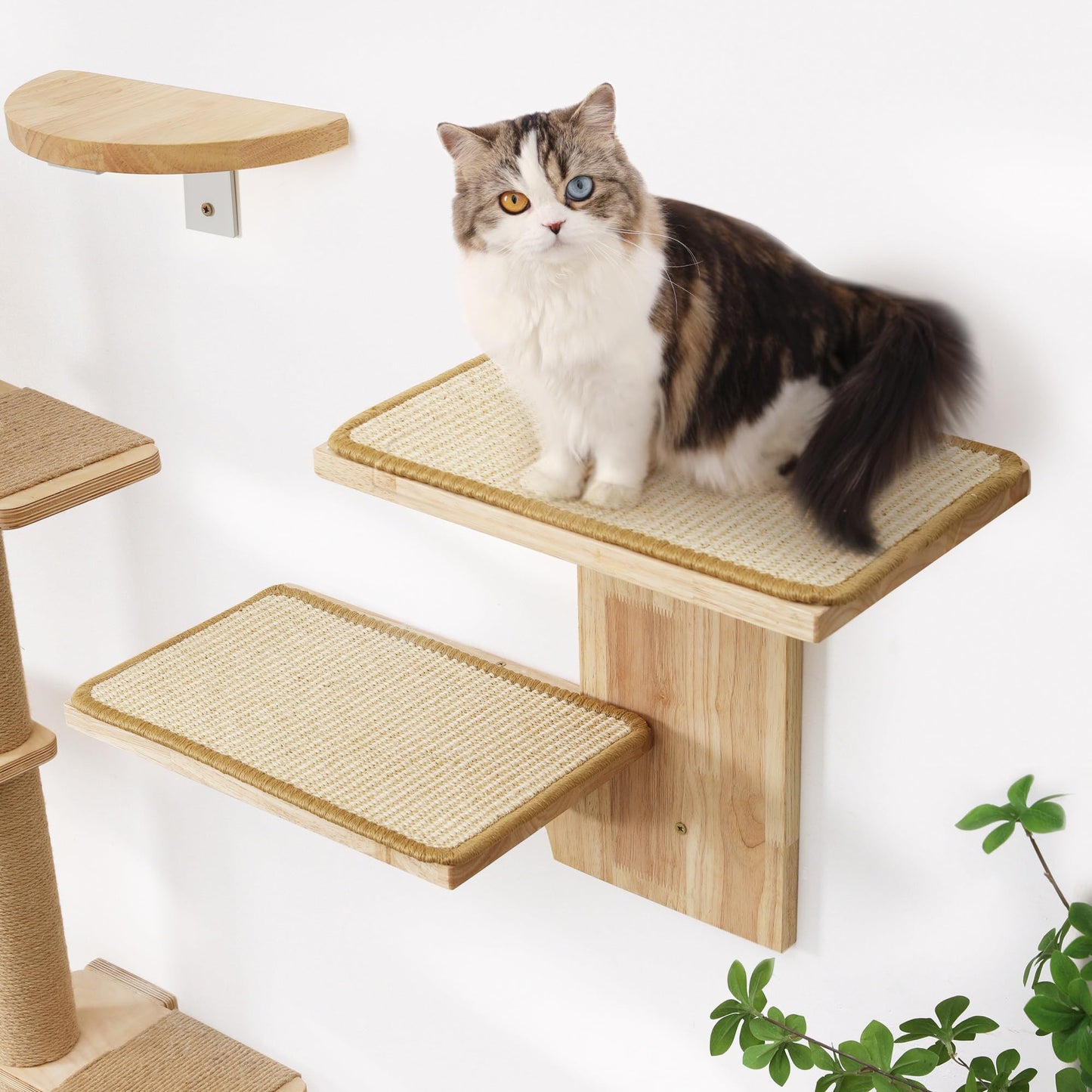 FUKUMARU Cat Wall Shelves, 2 Platform Cat Wall Furniture, Tree Shape Wall-Mounted Cat Floating Shelf with Sisal Mat, Solid Rubber Wood Cat Perch for 16 Inch Drywall, Suitable for Climb, Play, NapQQ