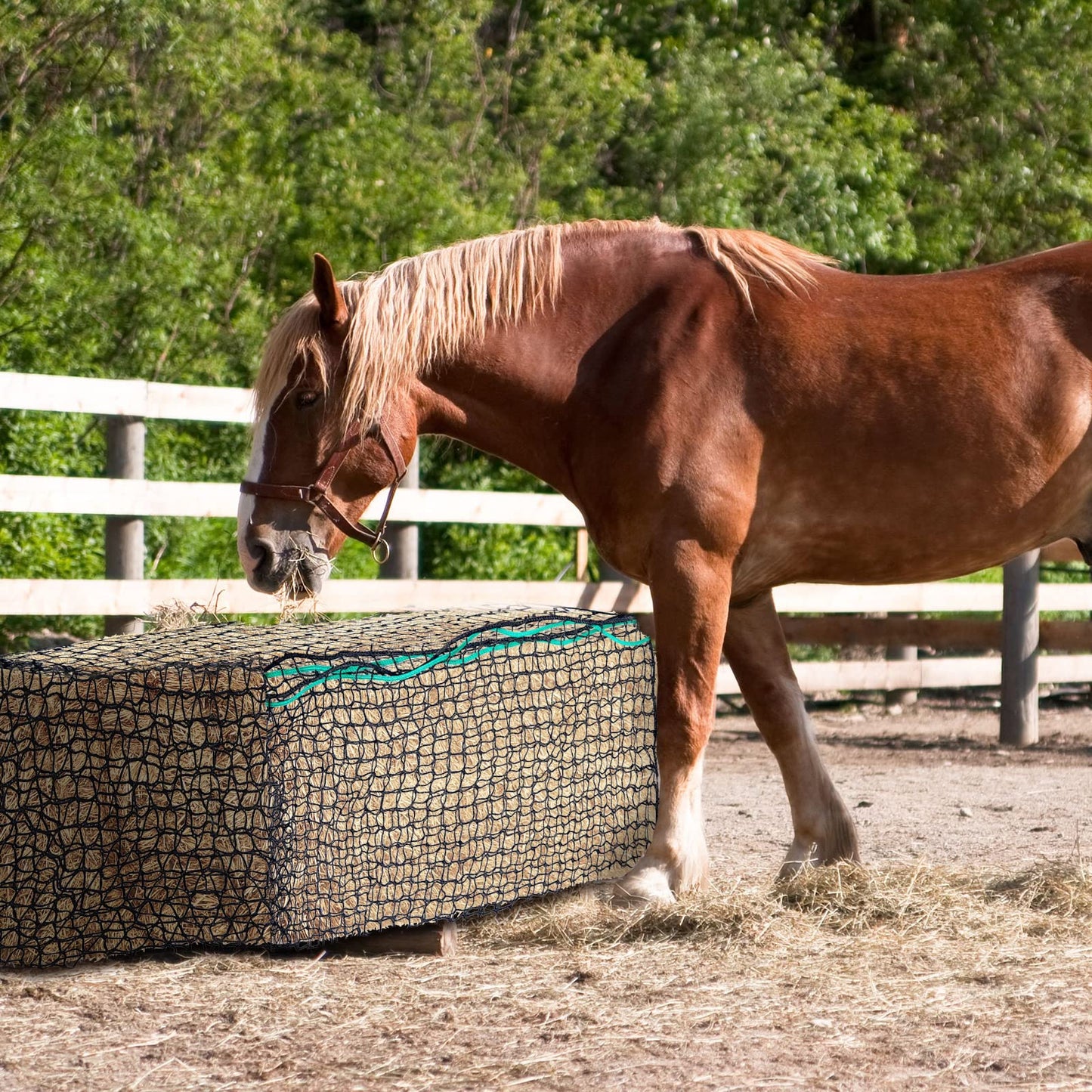 Riakrum 2 Pcs Square Bale Hay Net 5 mm Thick 47 x 20 x 20 Inch Black Large Bale Net Whole Slow Feeder Hay Bags Horse Full Hay Net Feeding Supplies for Horse Mule Goat Cattle Feed