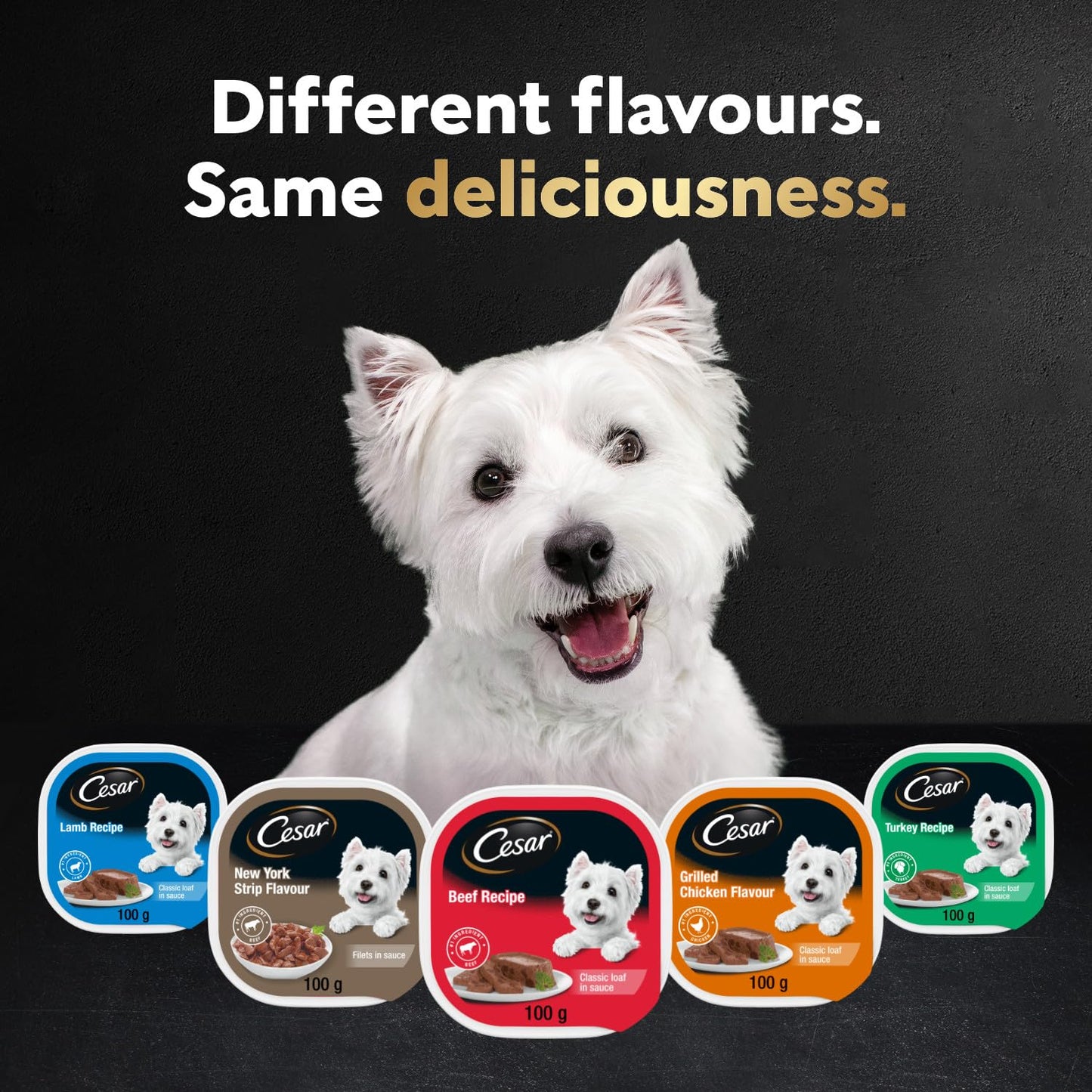 CESAR Dog Food Wet Classic Loaf in Sauce Entrées - Turkey, 100g Tray (24 Pack)