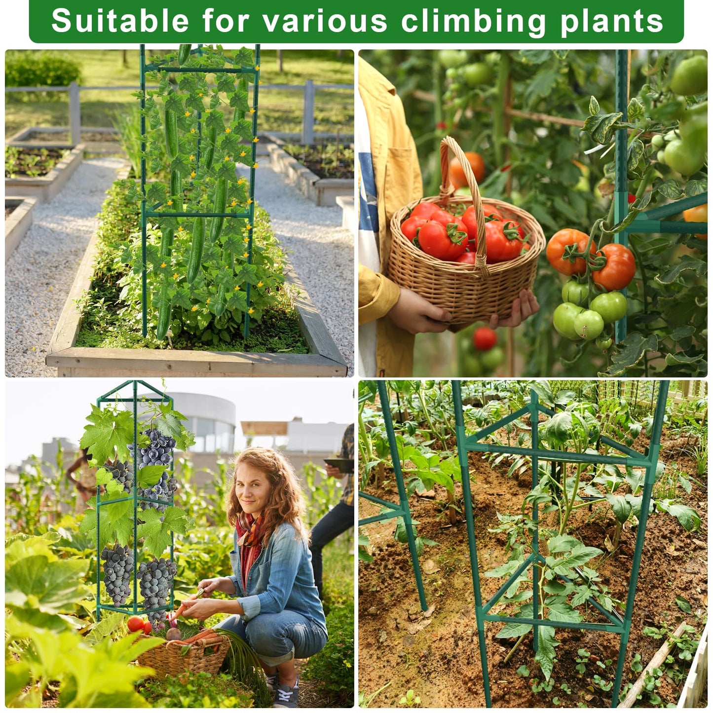 3 Pack Tomato Cages for Garden, 46.85Inches Tall Tomato Plant Support Stakes Adjustable Heavy Duty Steel Plant Tower Stakes, Updated Cucumber Trellis Garden Cages for Climbing Vegetable Flowers Fruits