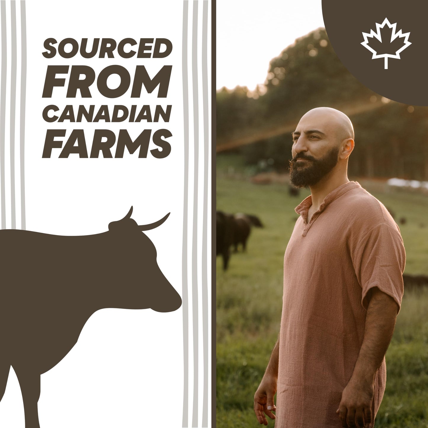 Broya Tallow Sun Balm – Mineral Face & Body Balm with 20% Non-Nano Zinc Oxide – 100% Grass-Fed Beef Tallow Moisturizer – Skin Support with Vitamins A, D, E, K – Fragrance-Free – 2 fl oz