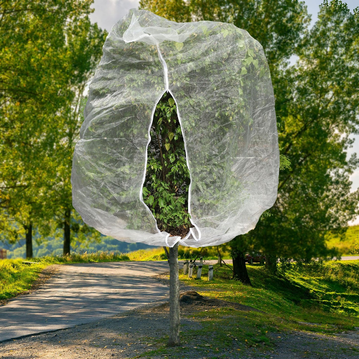 2pcs 10ftx10ft Large Fruit Tree Netting Bags, Bird Netting for Fruit Trees Cicada Tree Netting for Fruits Tree Garden Vegetables Protection