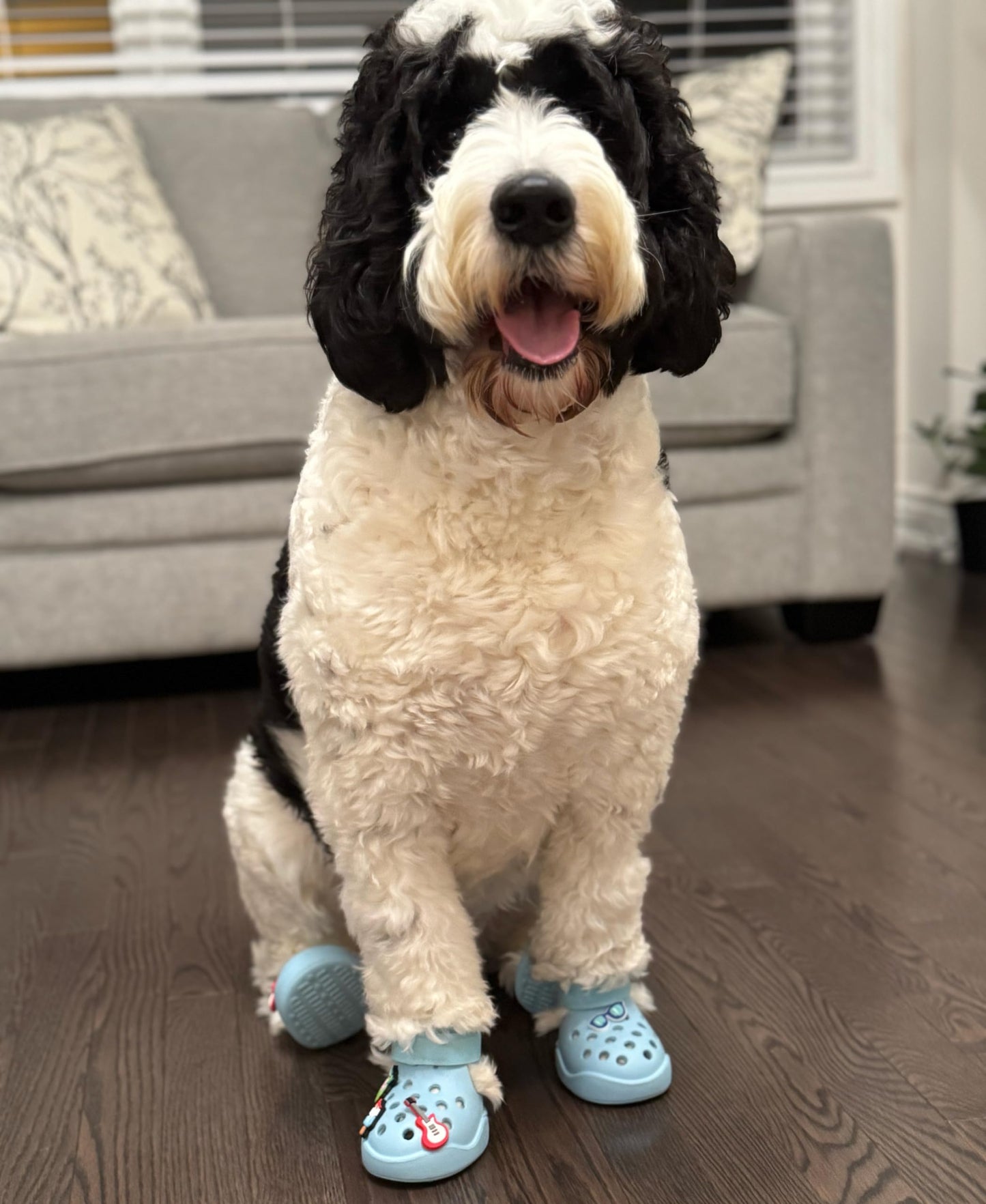 Dog Shoes: Non-Slip Waterproof Sandals for Hot Pavement, Breathable Perforated Boots, Large/Medium/Small Sizes, Ideal Paw Protector, Outdoor Clog Booties (Sky Blue, Size 3)