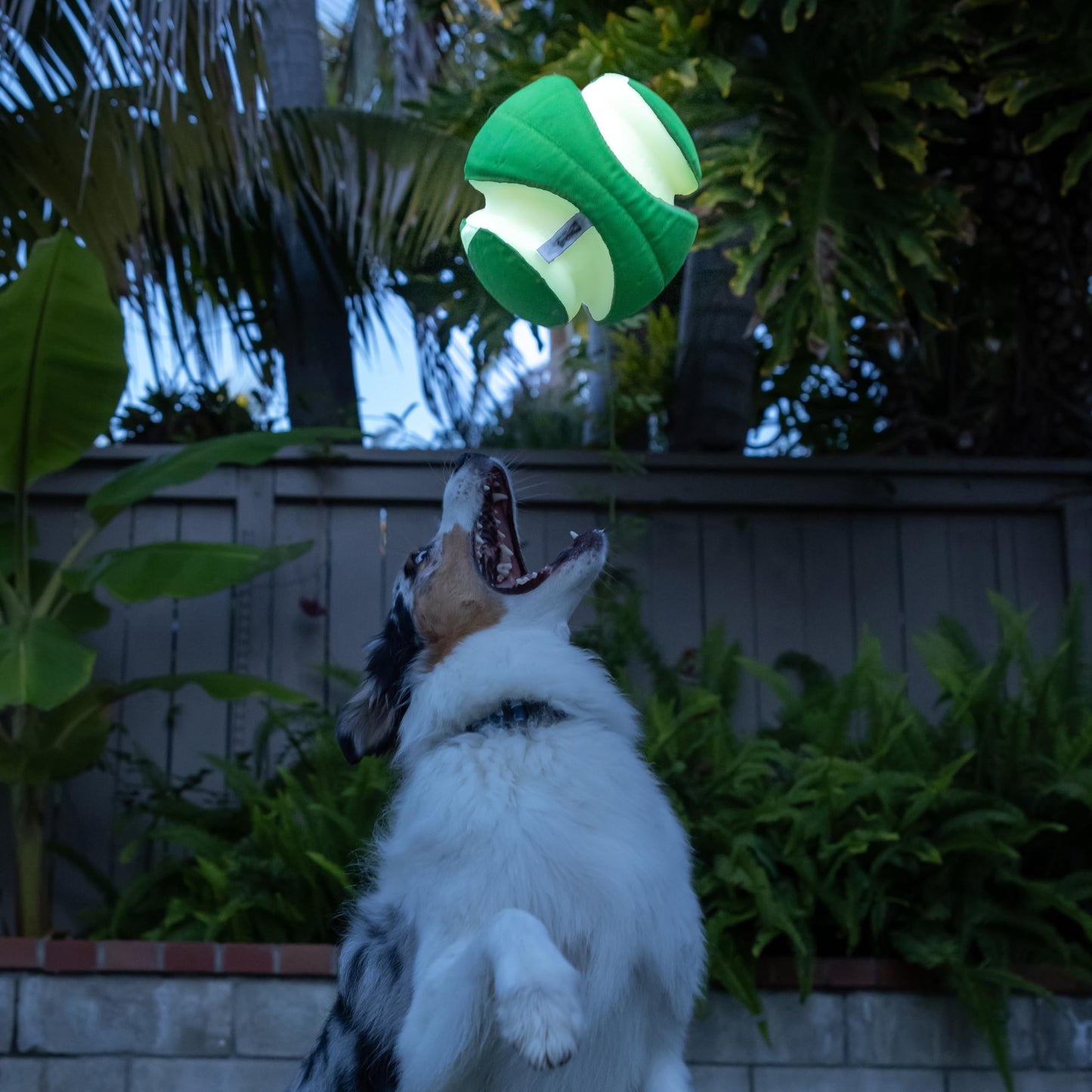 Chuckit! Kick Fetch Ball Dog Toy Interactive Play 2 Sizes,Max Glow - Large, Orange (600129)