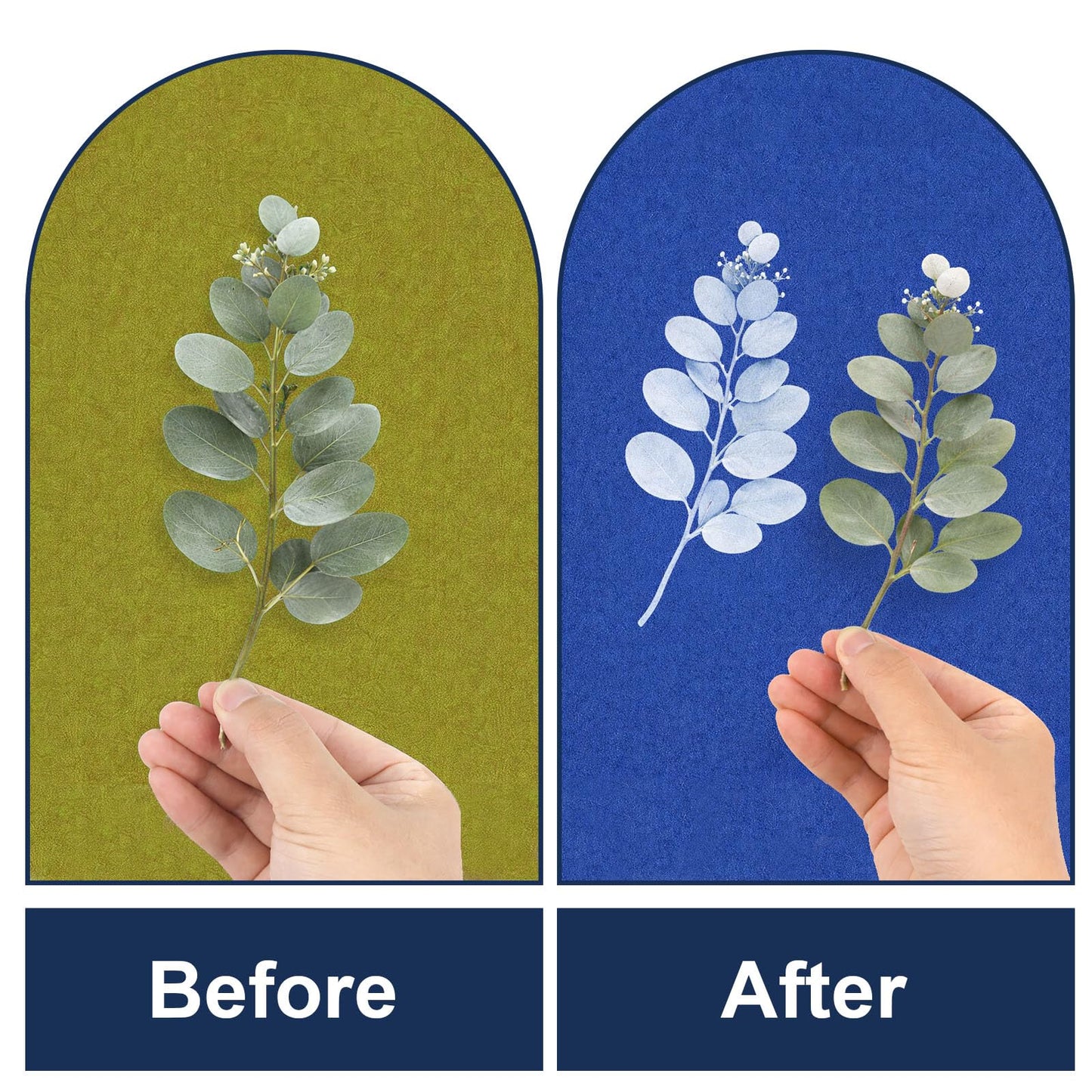 250ml Cyanotype Kit, Include 2 Component Cyanotype Solution Sensitizer Set for Photographic Blueprints on Paper and Fabric