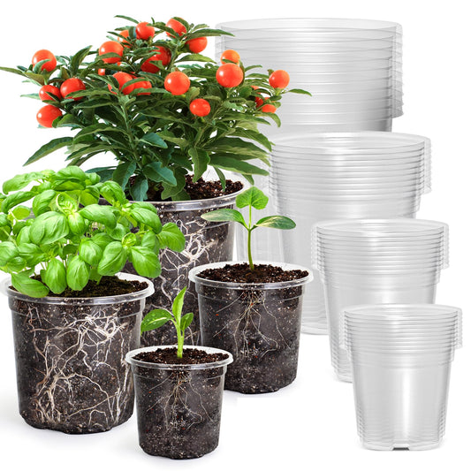 Bonviee 36 Packs 3.5/4/5/6.5 Inch Clear Nursery Pots, Transparent Plastic Planter with Drainage Holes, Seed Starting Pot Flower Plant Container -Clear