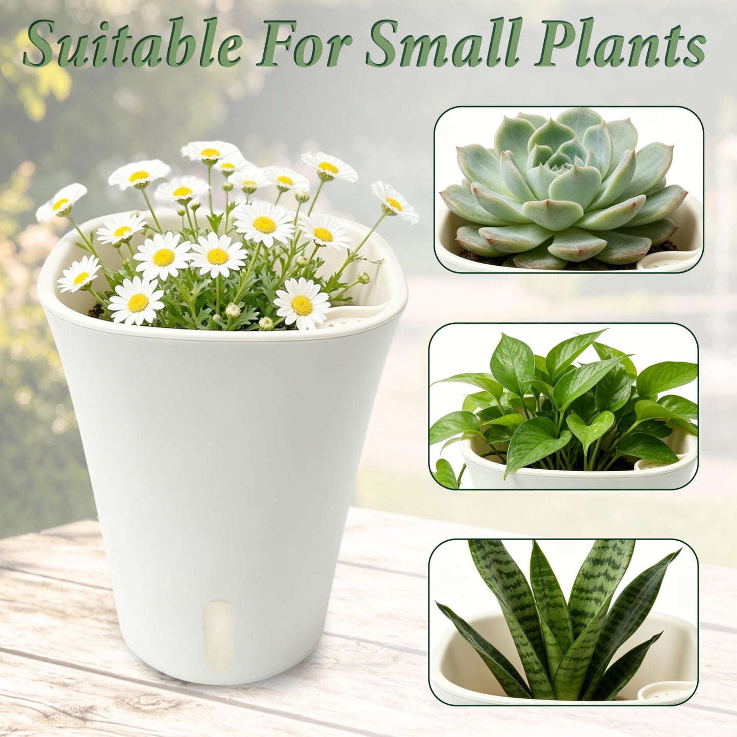 SYITCUN 5in Self Watering Planter 5 set,Plastic Self Watering Planters with Visual Water Level Window,Plant Pots Indoor,Window Box Planter,decor Planter Pot for Aloe,Herbs,Violets,Succulents-White