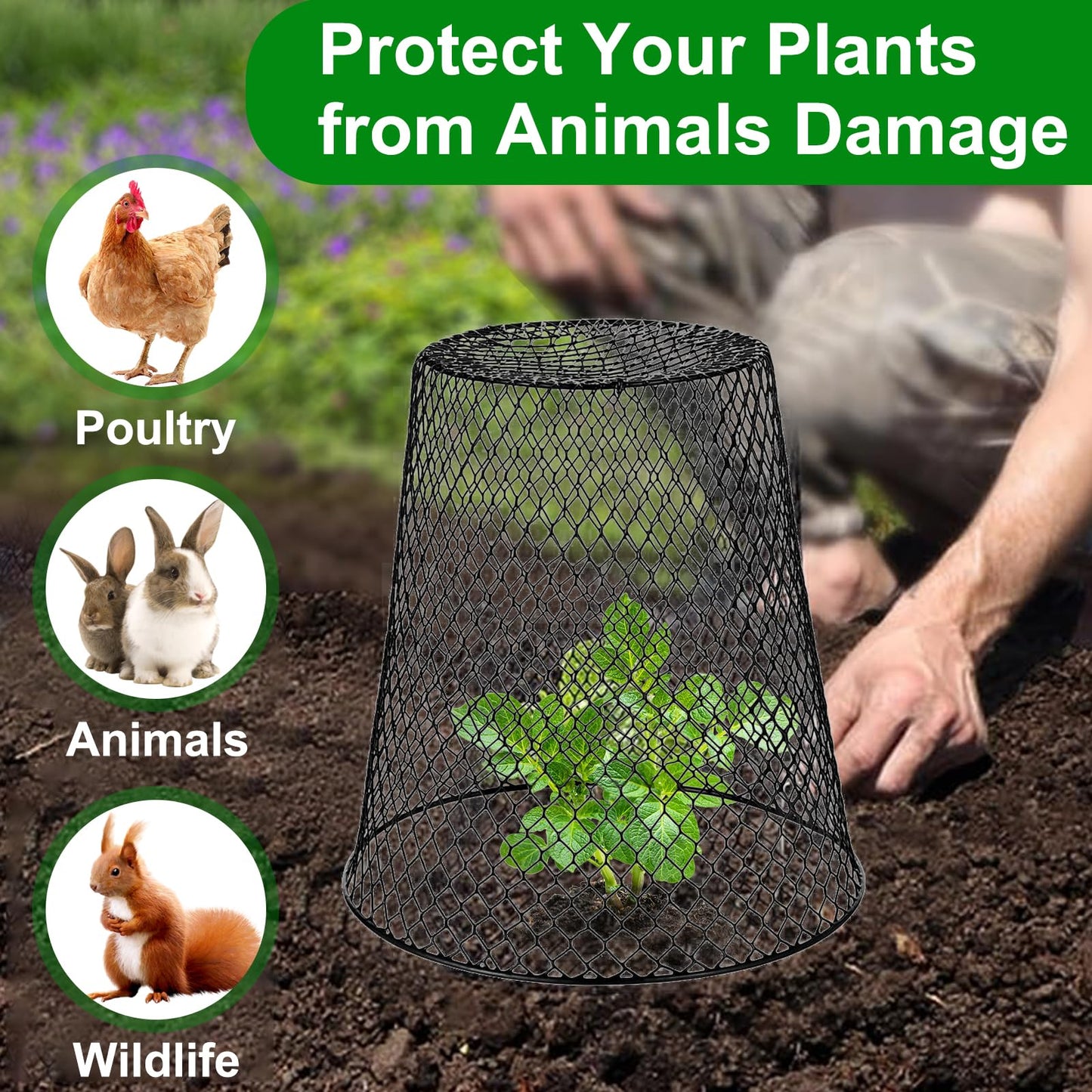 Chicken Wire Cloche Plant Covers - Garden Plant Cloche Metal Heavy Duty Plant Protectors from Animals for Keeping Bunnies Chicken Squirrels Birds Other Out (10, Black)