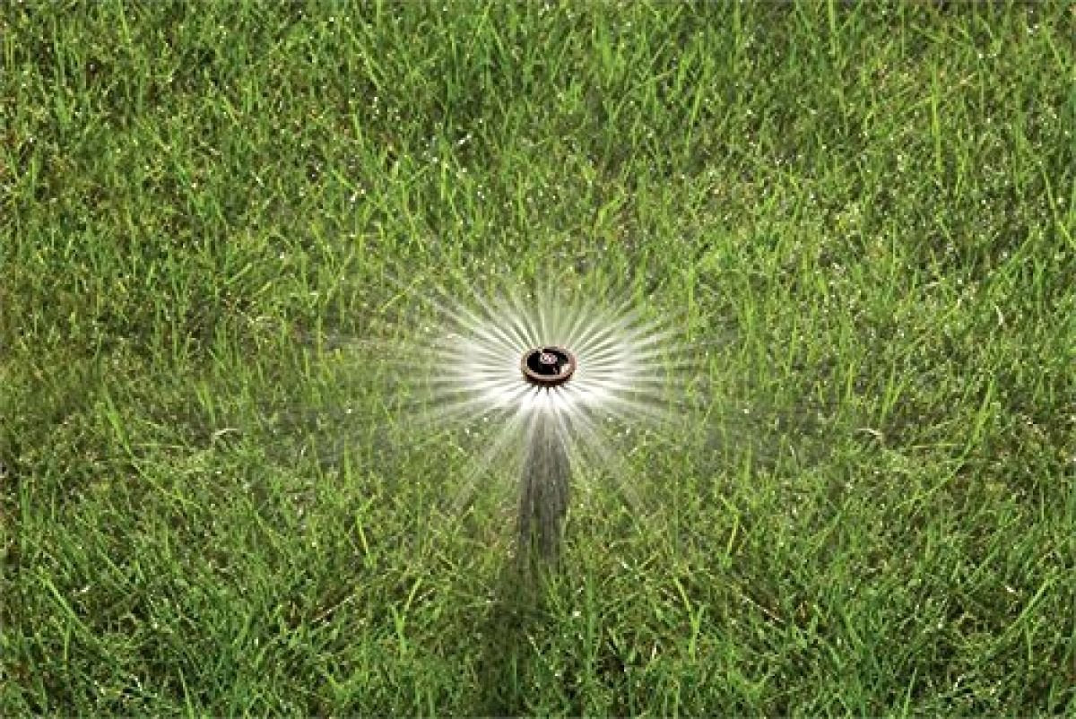 Rain Bird 1804VAN - 4" Professional Pop-up Sprinkler - 5 Pack - Adjustable Pattern (0 to 360 Degrees)