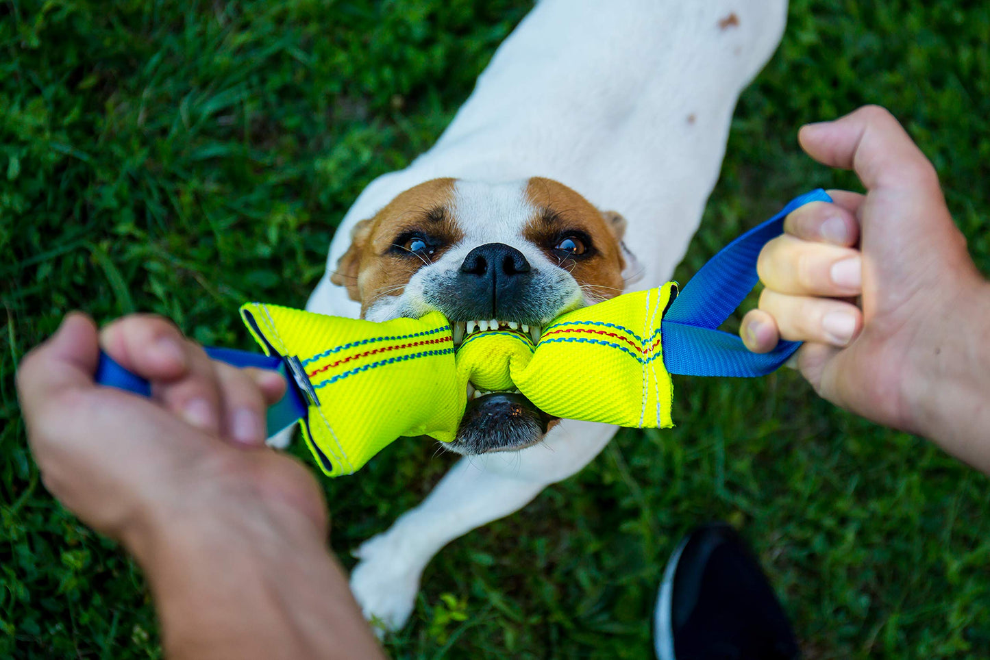 Bull Fit Dog Bite Tug Toy with 2 Strong Handles - Tough, Durable Fire Hose Dog Tug for Medium to Large Dogs - Ideal for Tug of War, Fetch, Puppy Training & Fun Interactive Play - Handmade Pull Toys