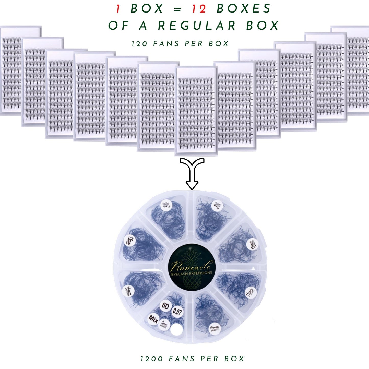 1200 Fans - 6D Premade Volume Fans - Mix 8 sizes in 1 From 9-16mm - Pinneacle Premade Volume Fans For Professional Eyelash Extension - Lash Extension Accessories, lash tools (Brown - CC)