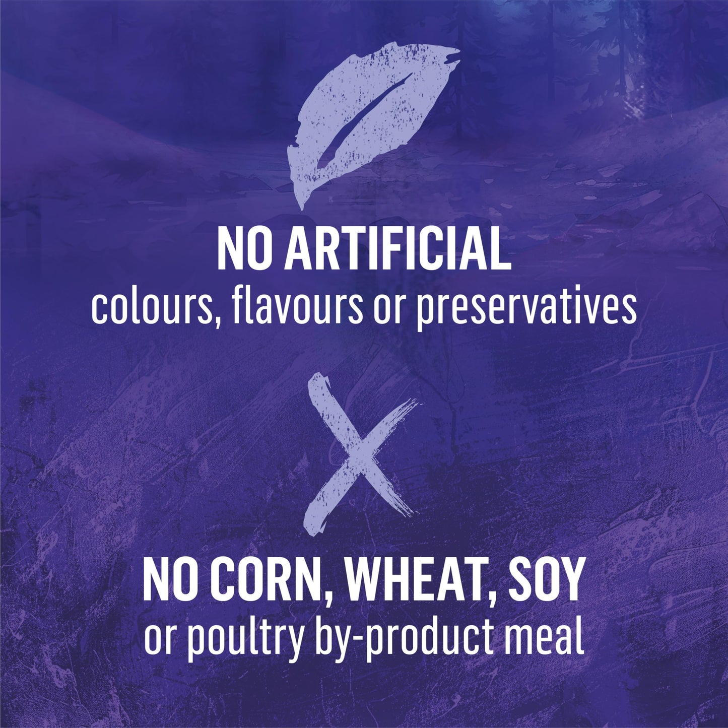 Beyond Wild Wet Dog Food, Turkey, Liver & Duck Recipe - 368 g Can (12 Pack)