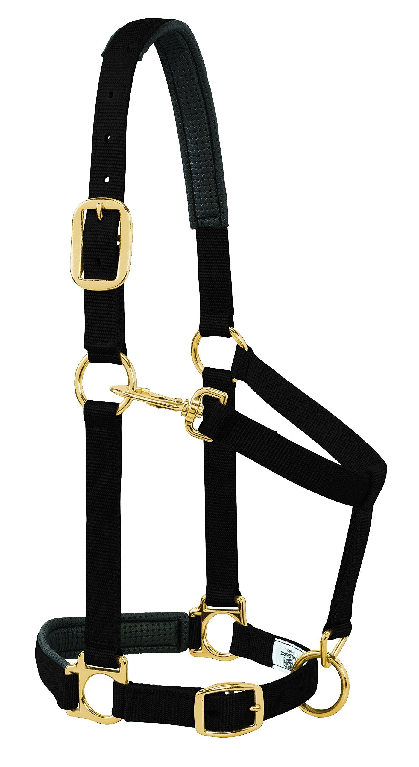 Weaver Leather Padded Adjustable Chin and Throat Snap Halter, 1" Large Horse or 2-Year-Old Draft, Solid Black