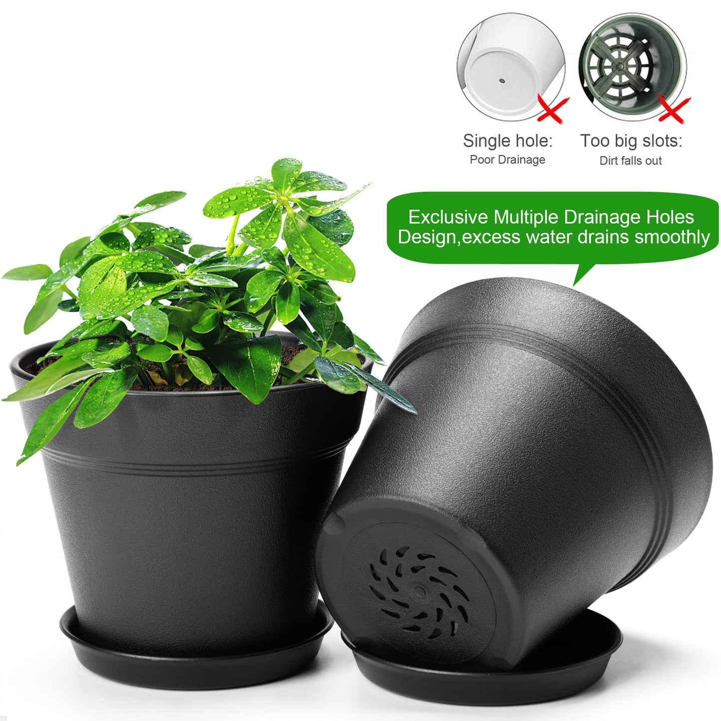 6 inch Plastic Plant Pots with Drainage Holes and Tray, 10 Pack Thickened Indoor Planters Seedlings Nursery Pots for Flowers, African Violet, Succulent and All House Plants, Black