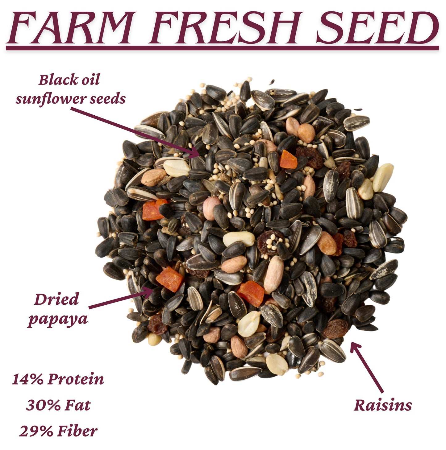 Agri-Tel Orchard Blend Fruit and Nut Bird Seed for Outside Feeders | Wild Songbird, Cardinal, Blue Jay, Finch Bird Food Seed | 4 Kgs, 8.8 Lbs