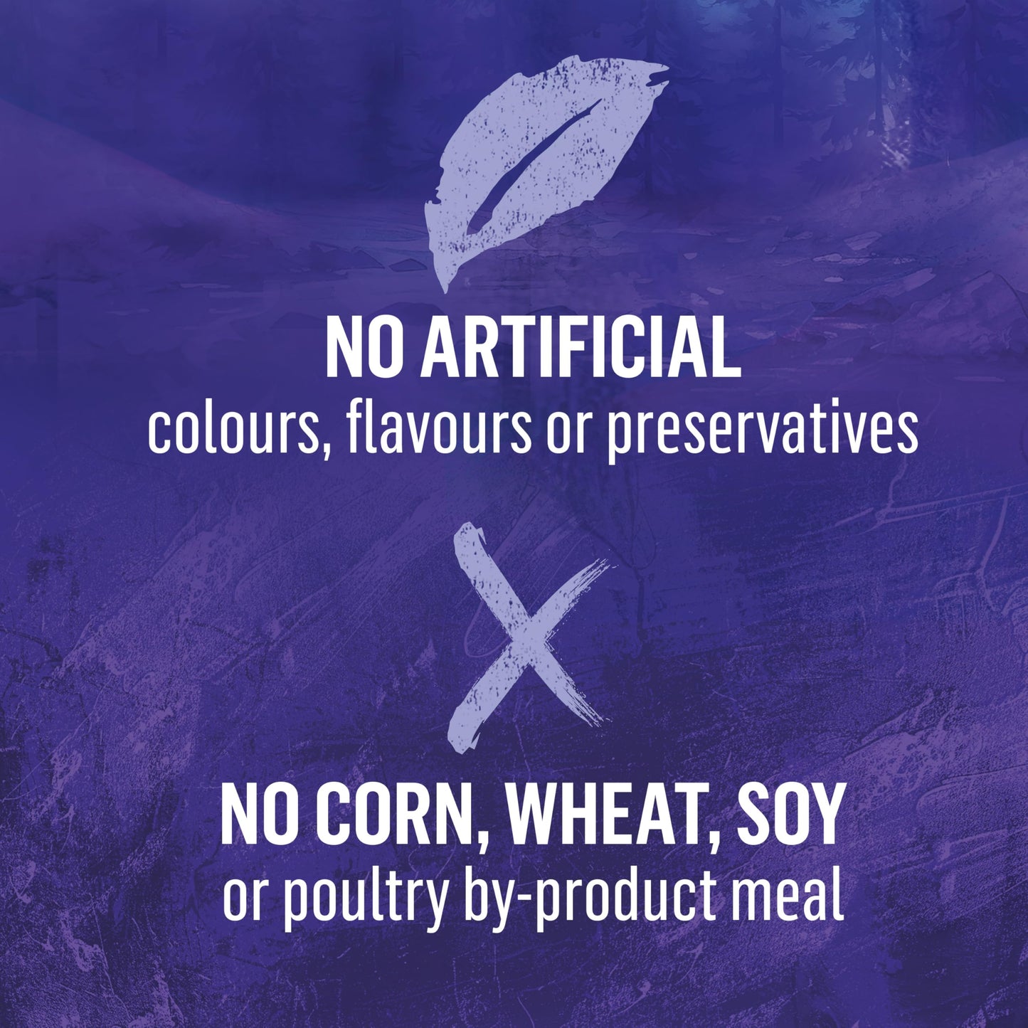 Beyond Wild Dry Dog Food, Turkey, Egg & Bone Broth Recipe - 4.5 kg Bag (1 Pack)