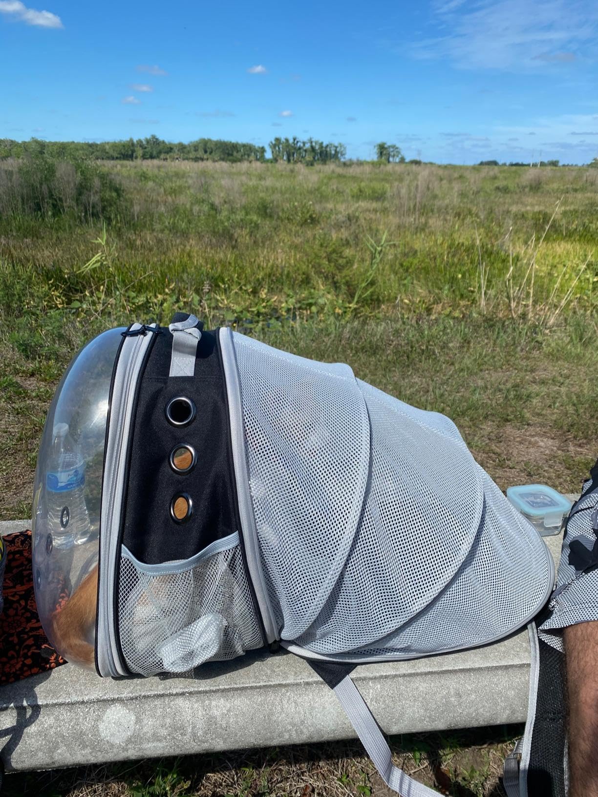 Back Expandable Cat Backpack Carrier, Fit up to 12 lbs, Space Capsule Bubble Window Pet Carrier Backpack for Cat and Small Puppy
