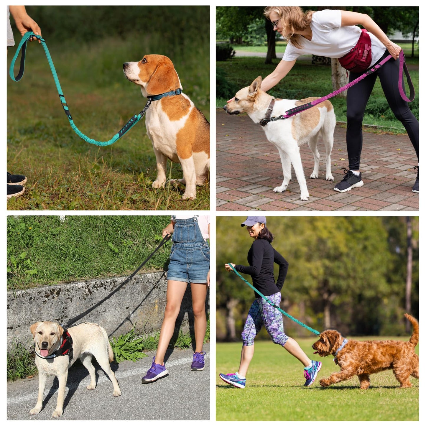 Chioratree Heavy Duty Dog Leash for Medium Large Dogs 2 Pack, Shock Absorbing Bungee Tactical Dog Leash, 4-6FT Strong No Pull Lead with 2 Padded Handle,Car Seatbelt,Light Reflective Rope, Black Purple