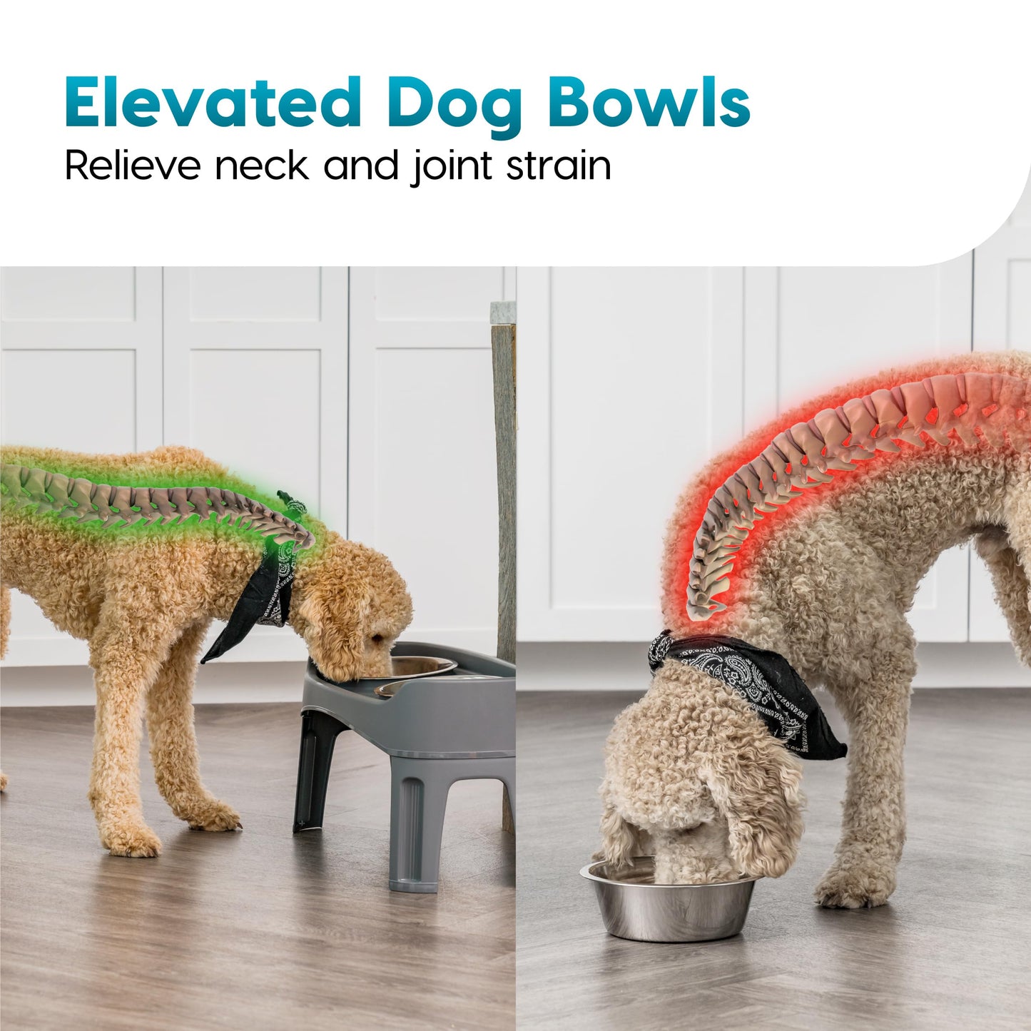 IRIS USA Elevated Dog Bowls, Adjustable Height, 2 Thick 1.9 L Stainless Steel Bowls, Spill-Proof with Raised Outer Rim, Durable Plastic, Easy Assemble, 2 Heights 11.8 or 31.1 cm, Dark Gray