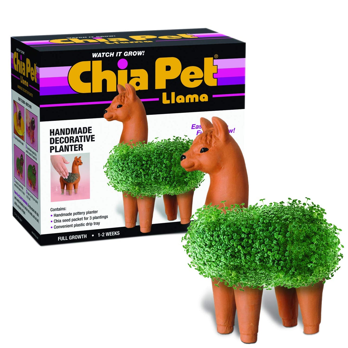 Chia CP439-01 Pet Llama Decorative Pottery Planter, Easy to Do and Fun to Grow