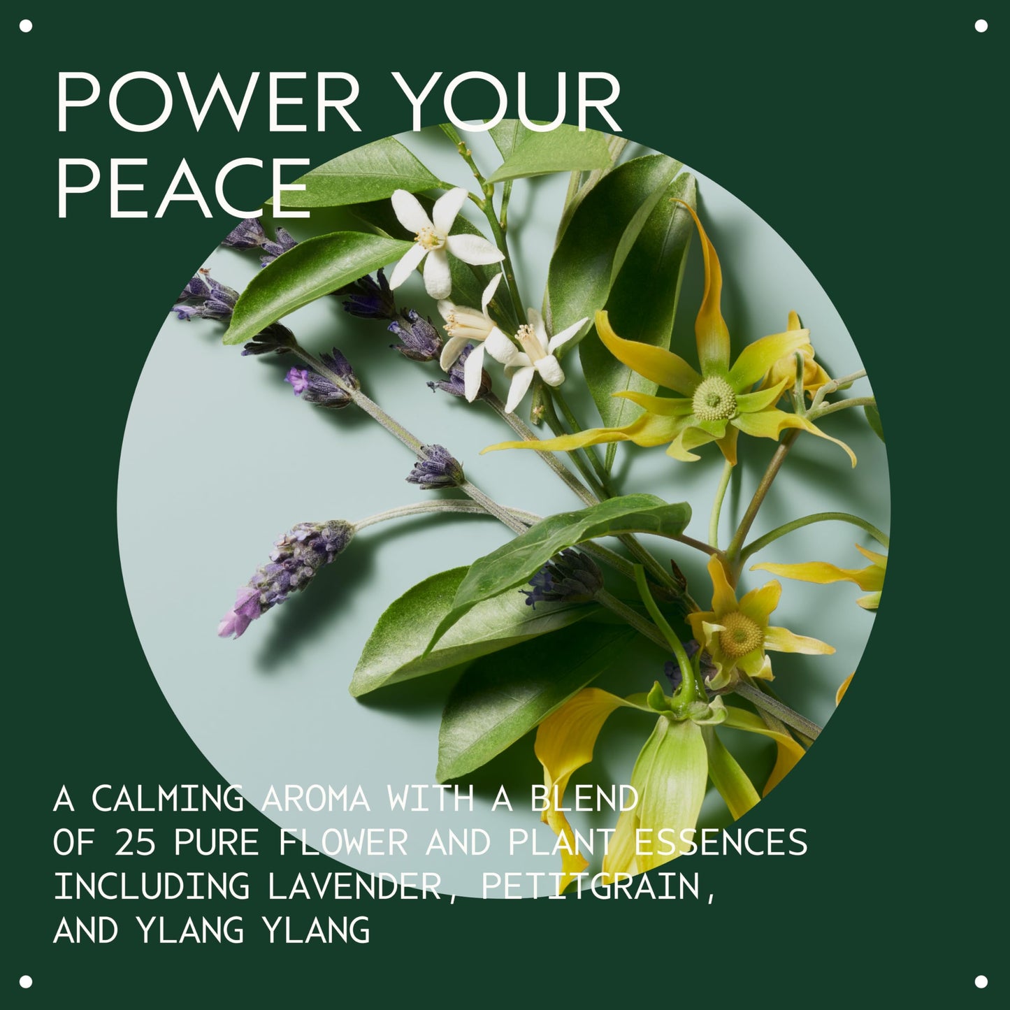 Aveda Shampure Hand & Body Wash | Liquid Hand Soap and Body Wash | with Calming Aroma of Lavender, Ylang Ylang, Petitgrain, 250ml